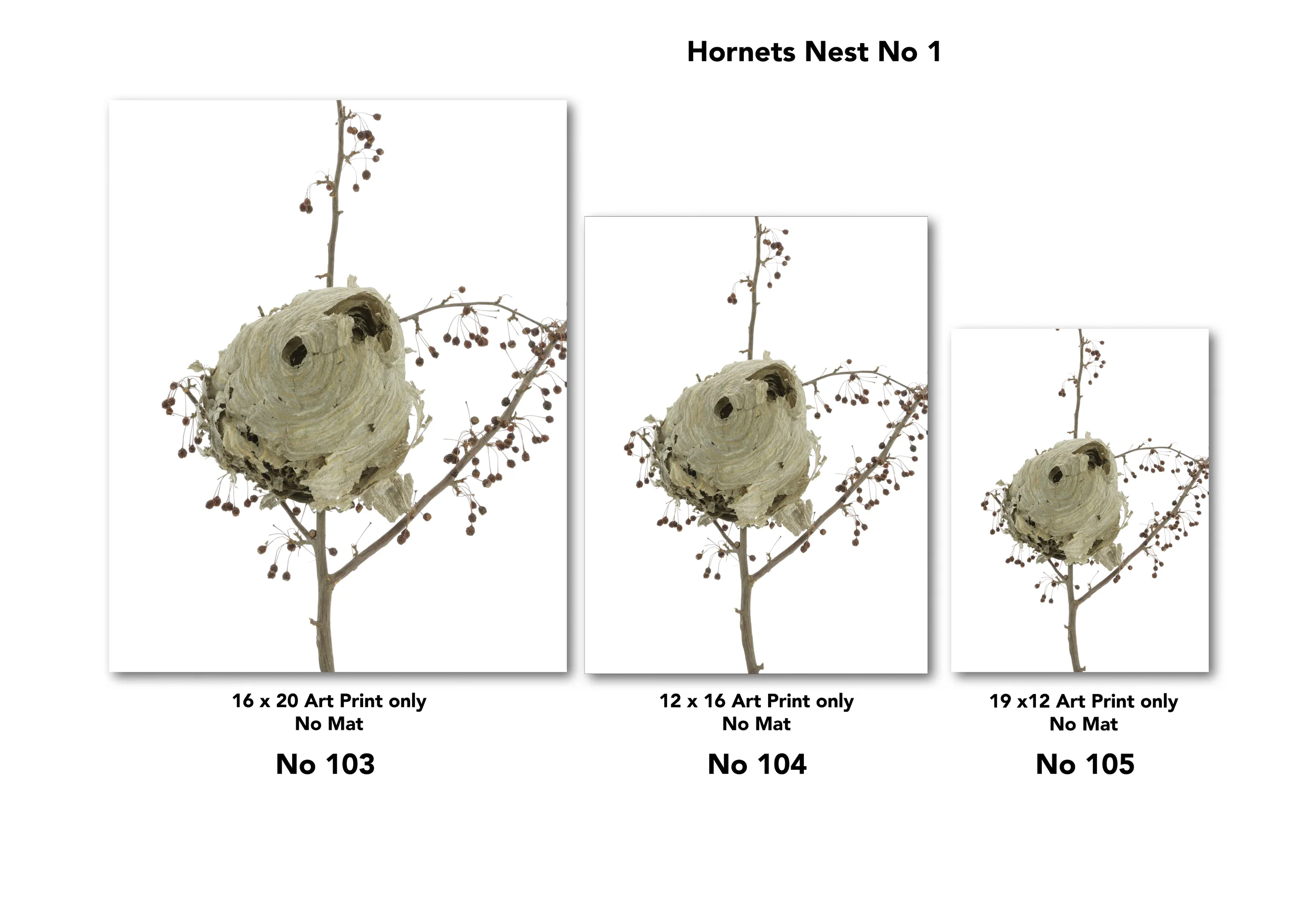 4 Nest for Web Page for drop shadow2.jpg