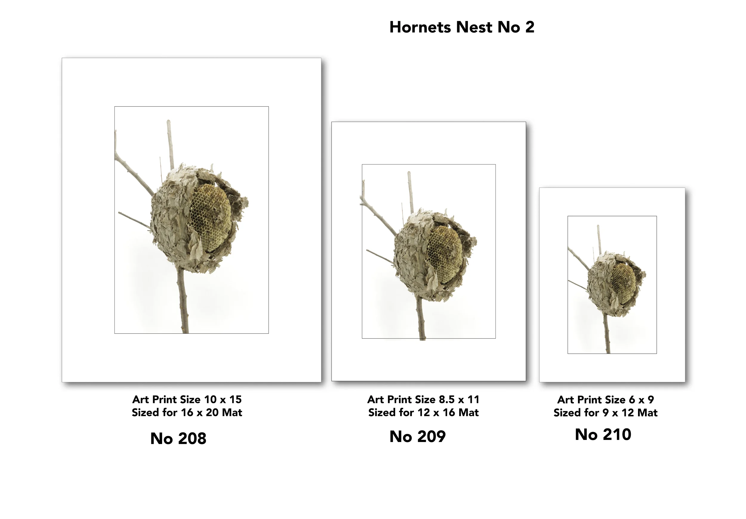 4 Nest for Web Page for drop shadow8.jpg