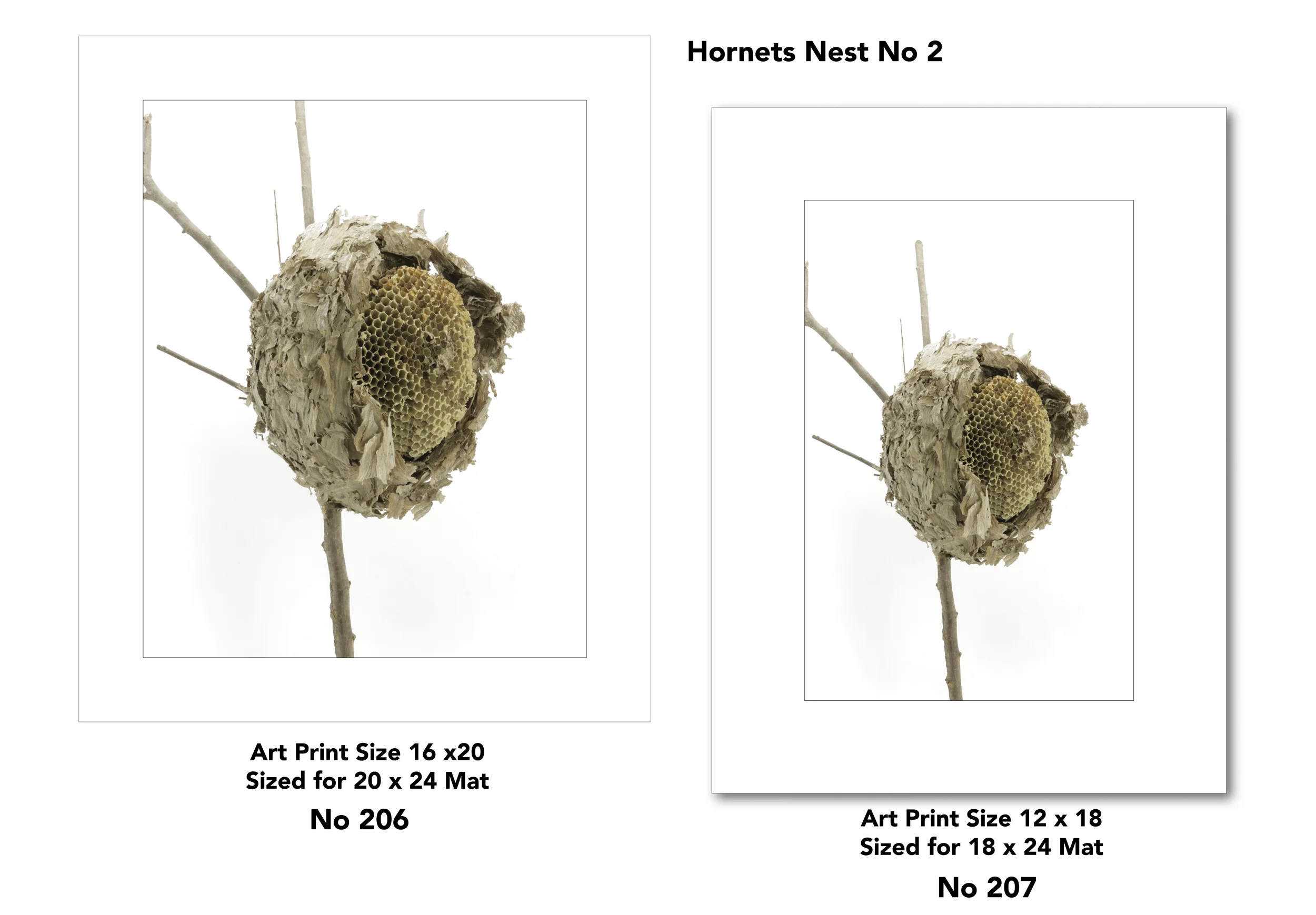 4 Nest for Web Page for drop shadow7.jpg