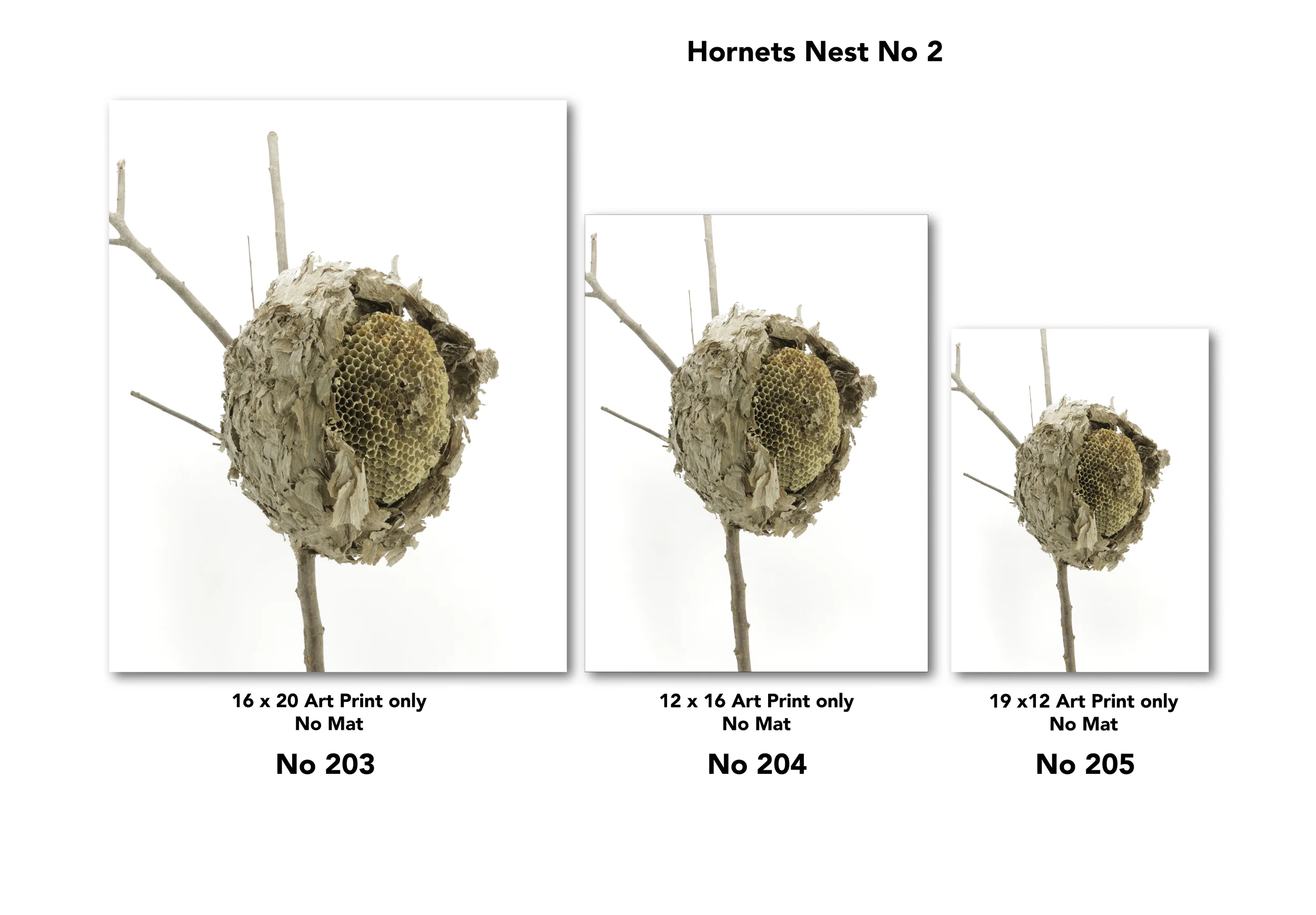 4 Nest for Web Page for drop shadow6.jpg