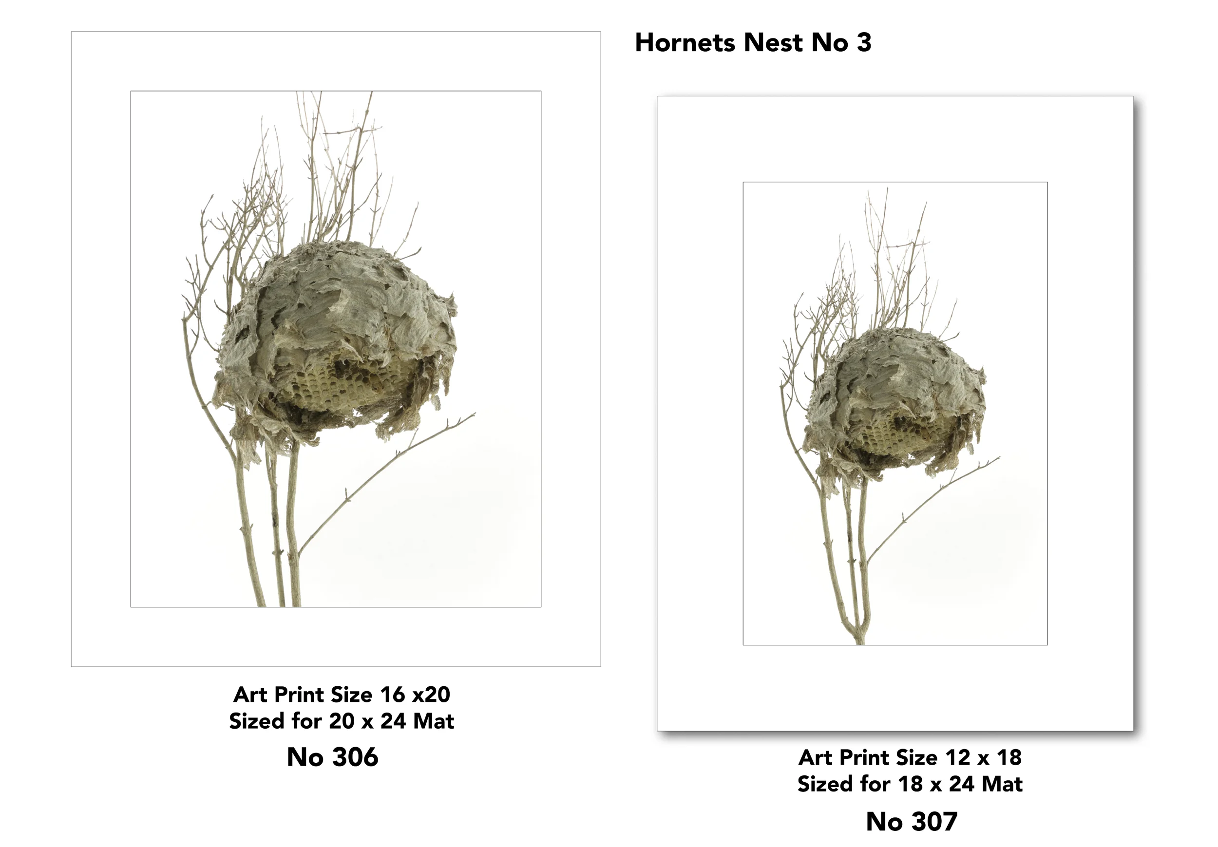 4 Nest for Web Page for drop shadow11.jpg