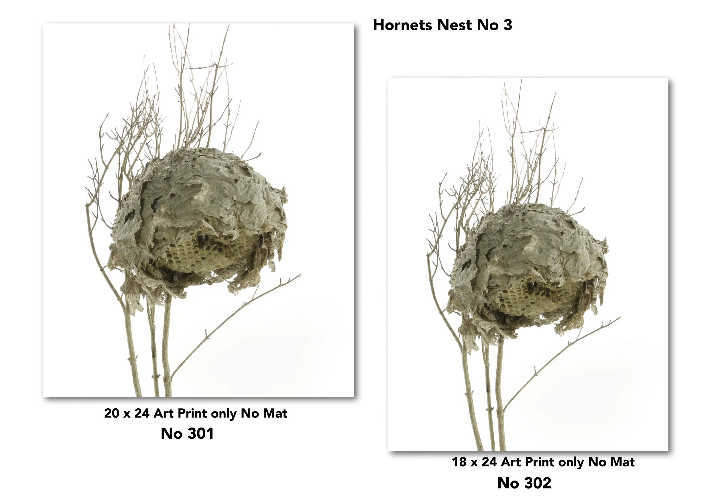 4 Nest for Web Page for drop shadow9.jpg
