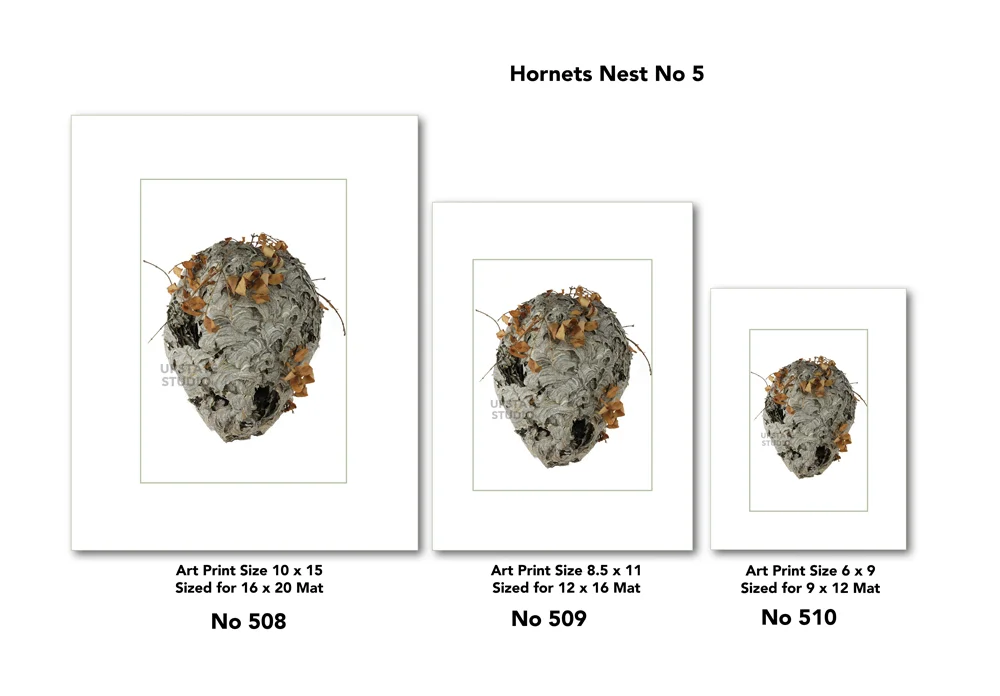 4 Nest # 5 for Web Page for drop shadow.jpg