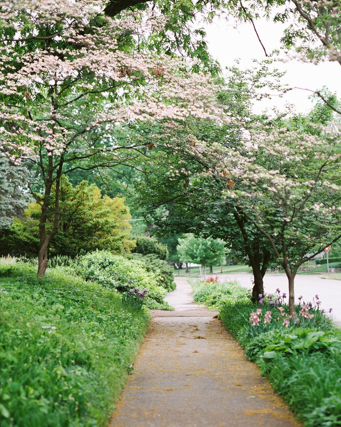 &ldquo;If, on the other hand, happiness depends on a good breakfast, flowers in the yard, a drink or a nap, then we are more likely to live with quite a bit of happiness.&rdquo; - Andy Rooney