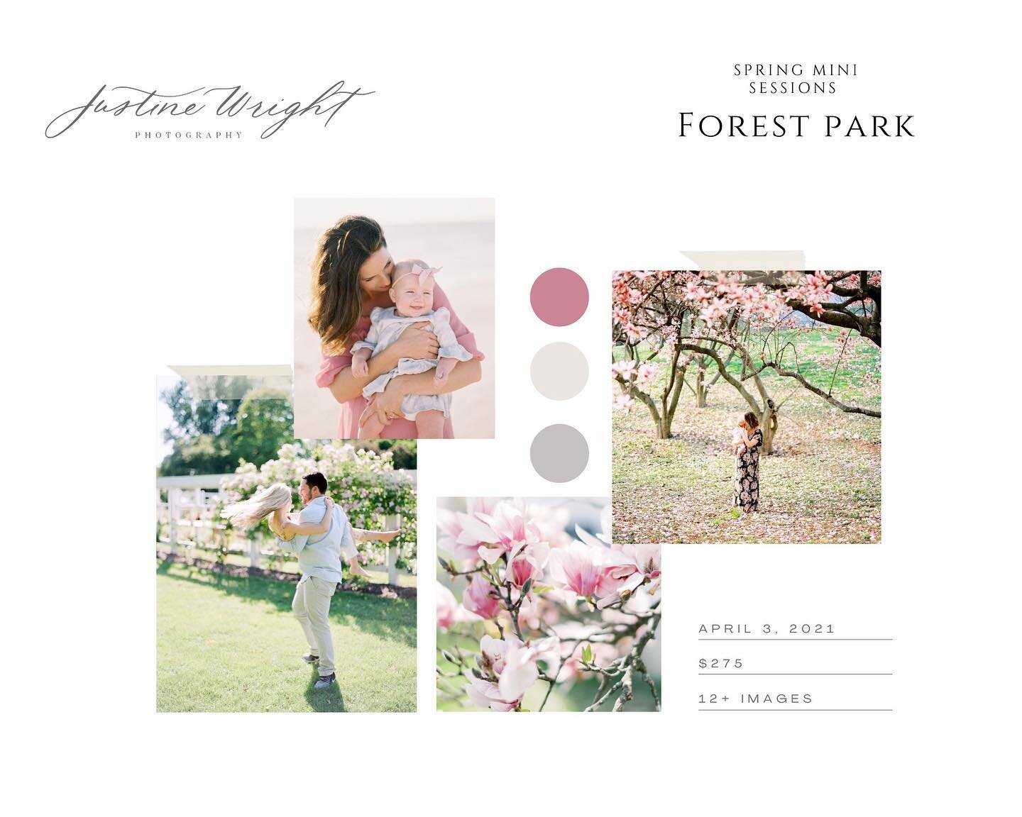 Making mood boards might just be my new favorite. 💁🏻&zwj;♀️ SO excited for these sessions and praying excessively that the Missouri landscape cooperates!🤞🏻Our spring is so fleeting but boy, is it pretty. 💕