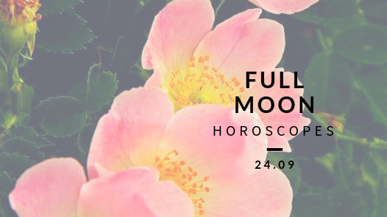 Wild roses are the flower remedy for resignation. It is important during this time that we stay courageous and committed to our growth, especially through our relationships.
