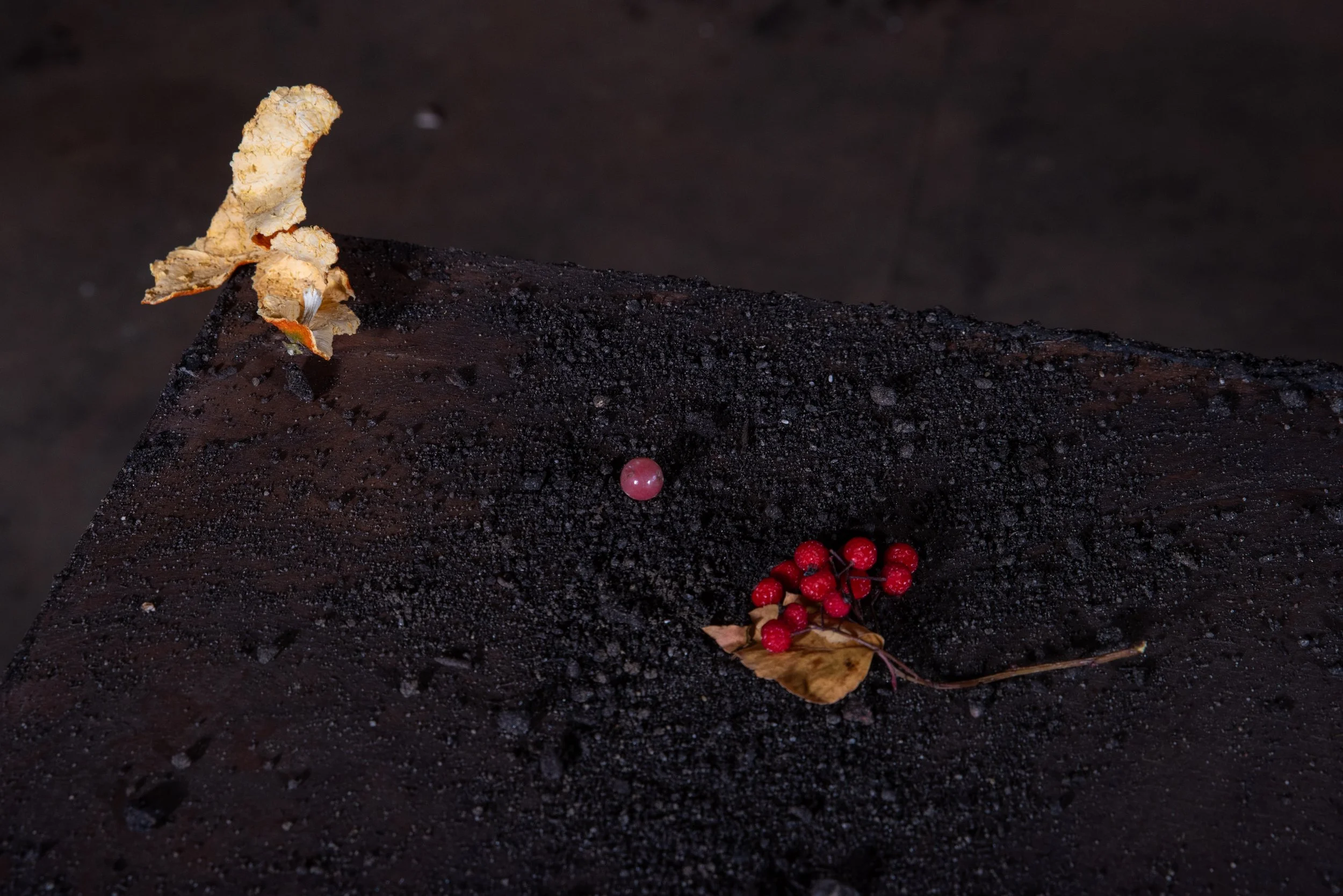 amadeo new uncanny-20.jpg