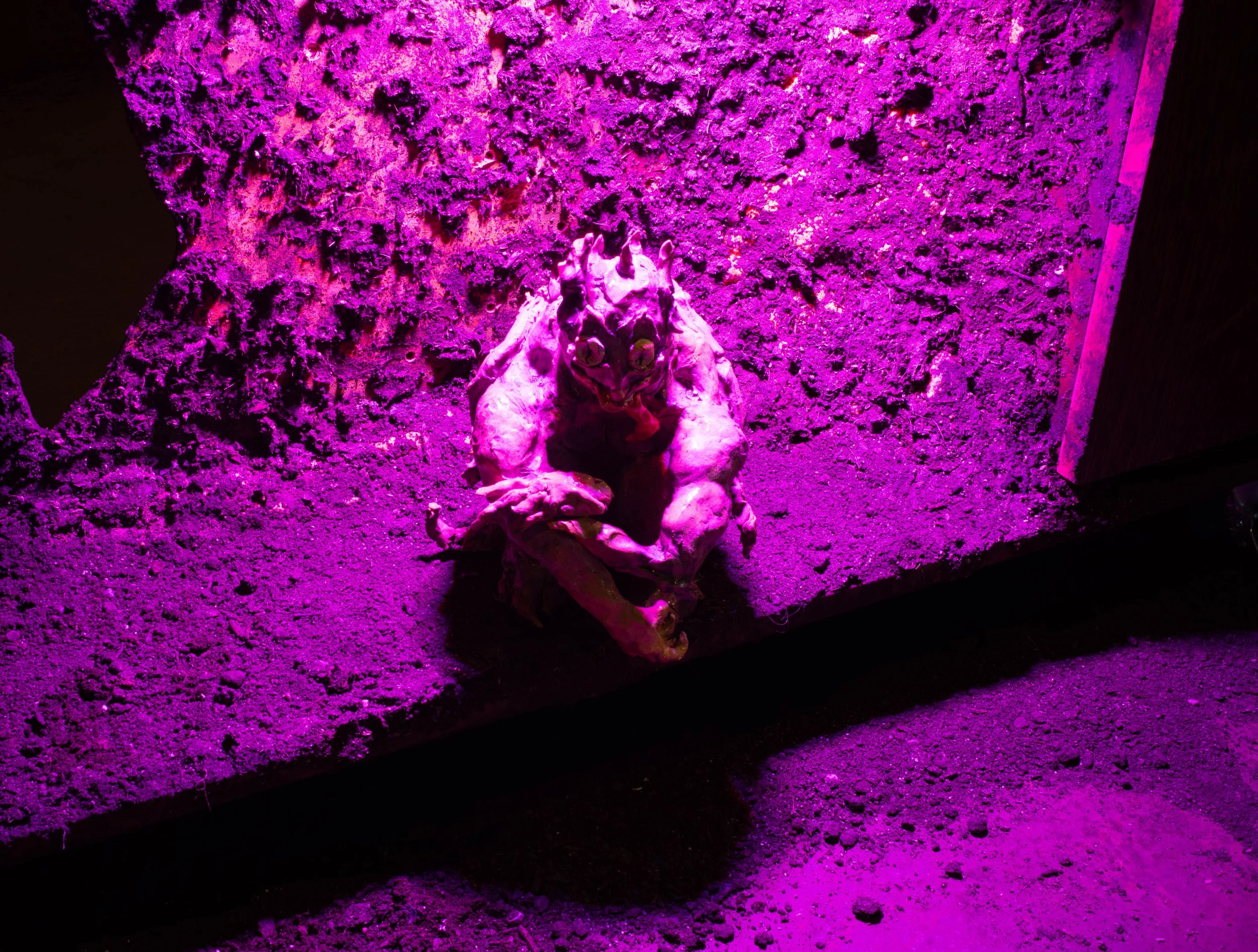 Copy of DSC00457.jpg