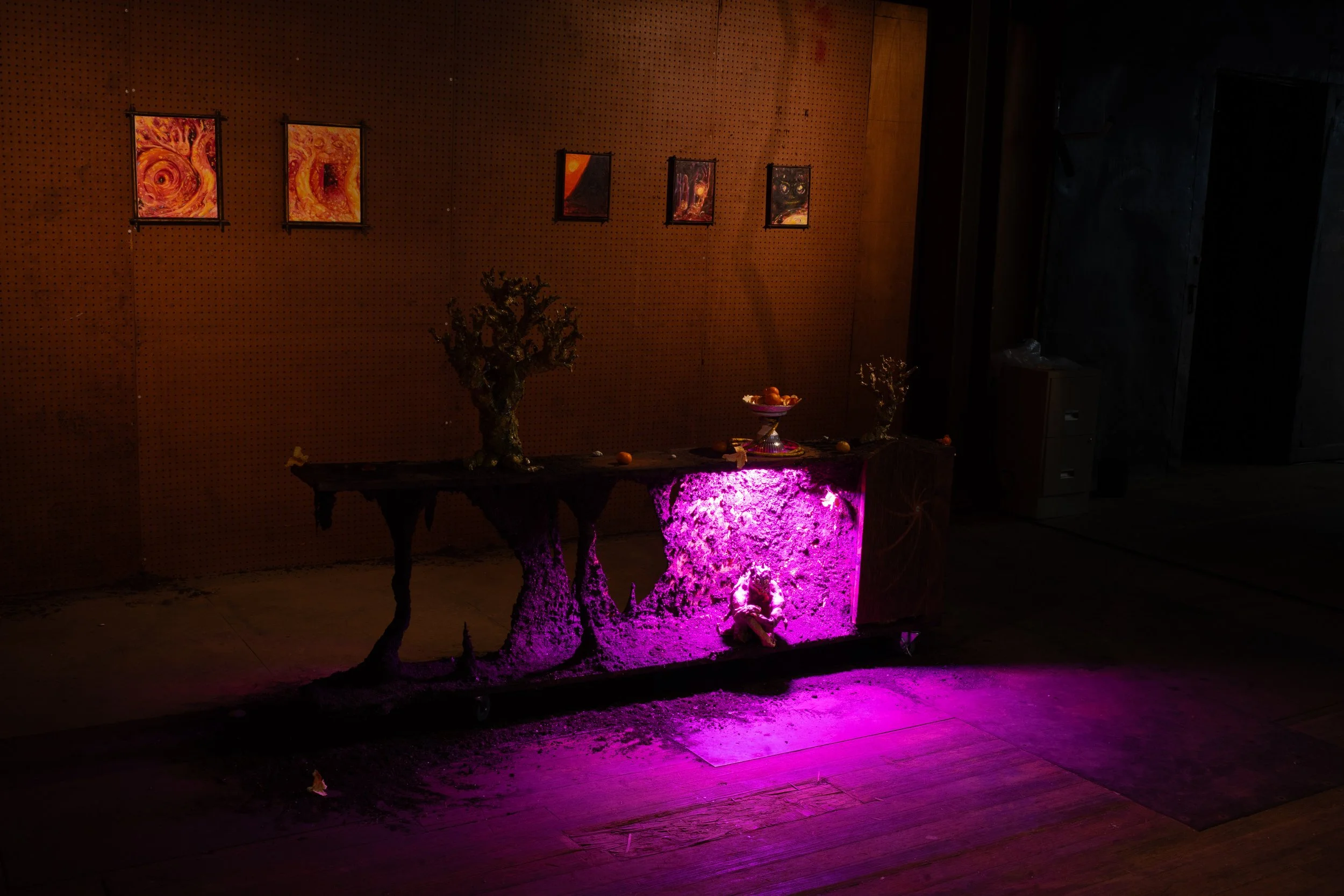 Copy of DSC00450.jpg