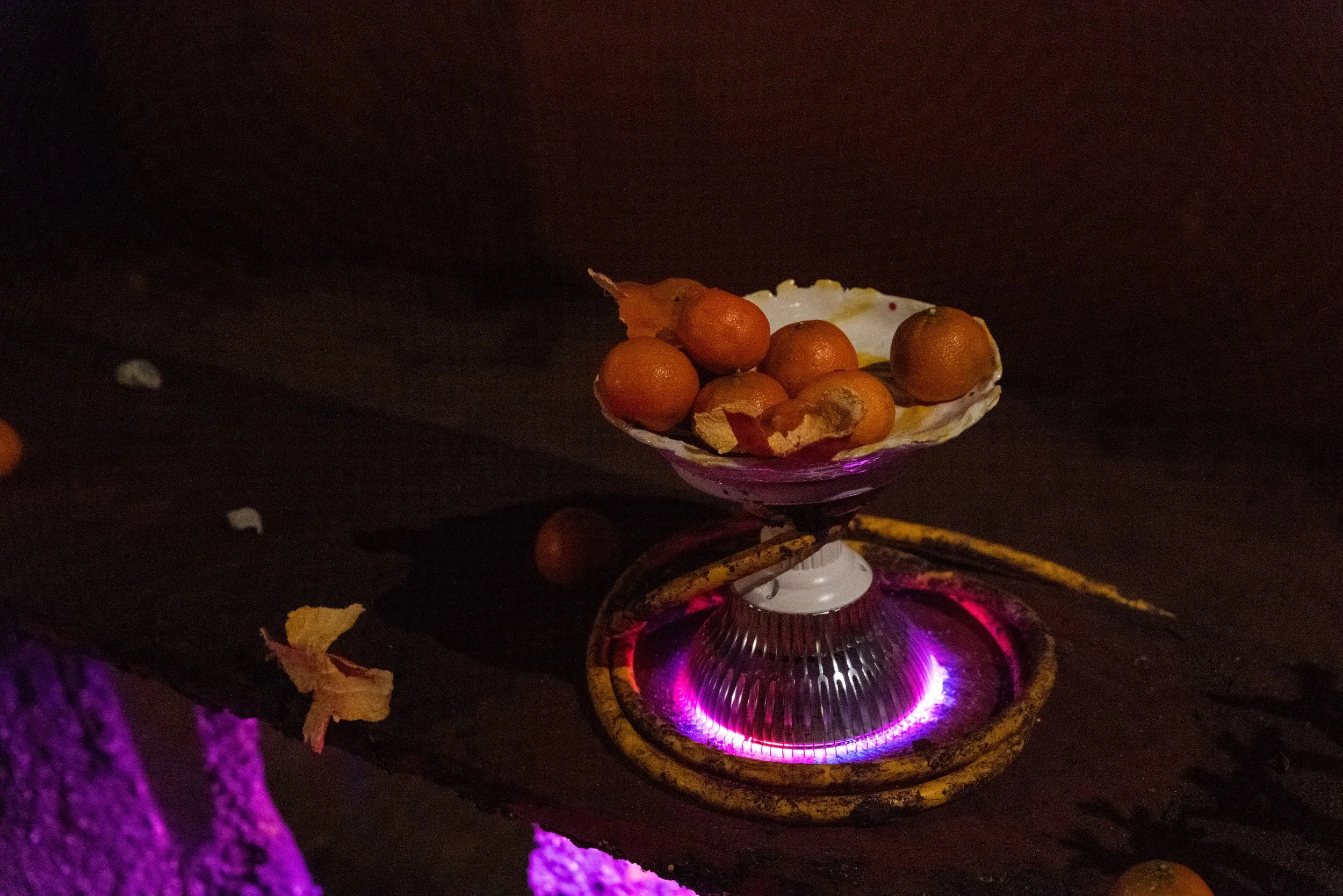 amadeo new uncanny-05_website.jpg