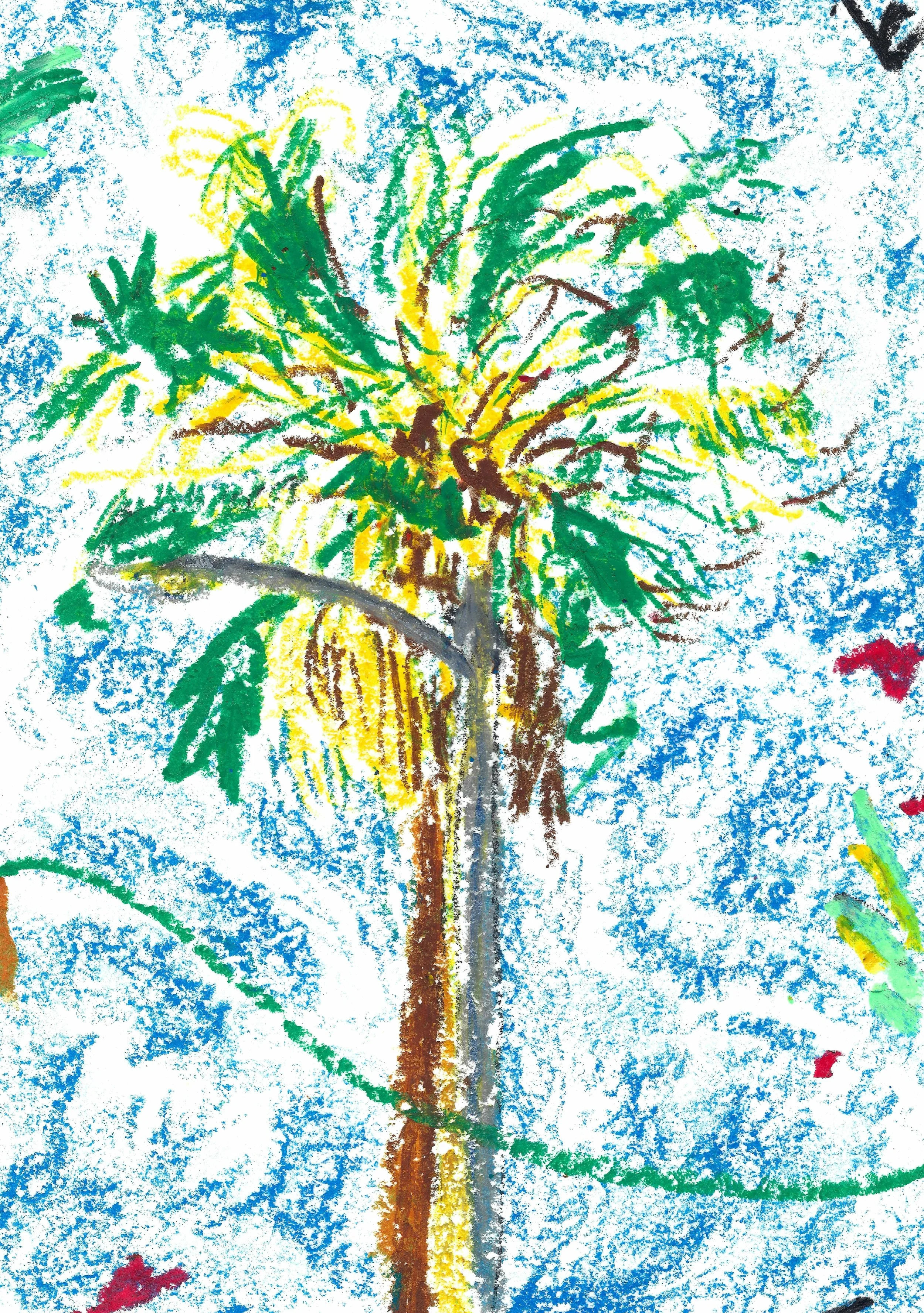 DRWG_WEB_2021_HollywoodPalm.jpg