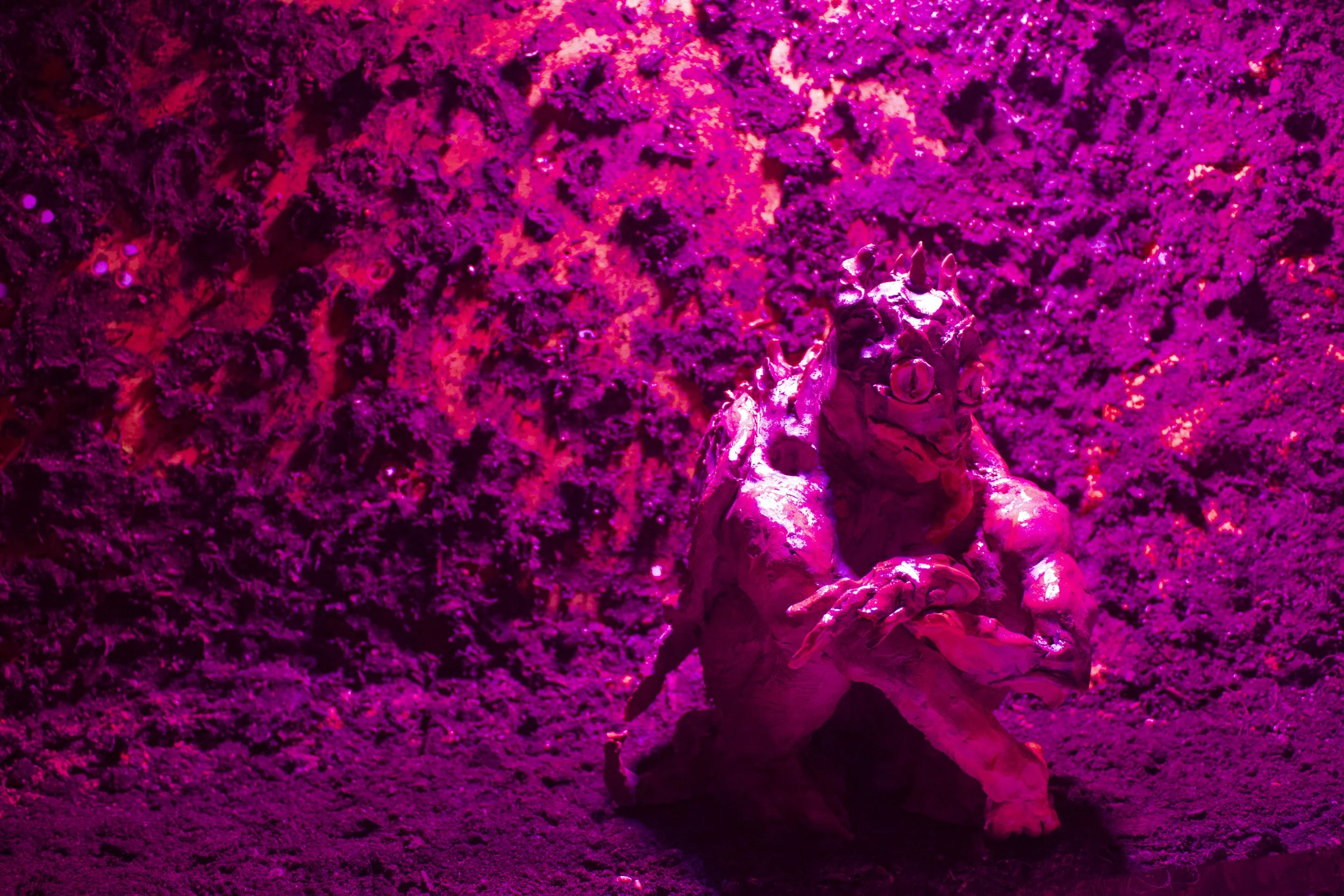 Crouching shelf 2023.jpg