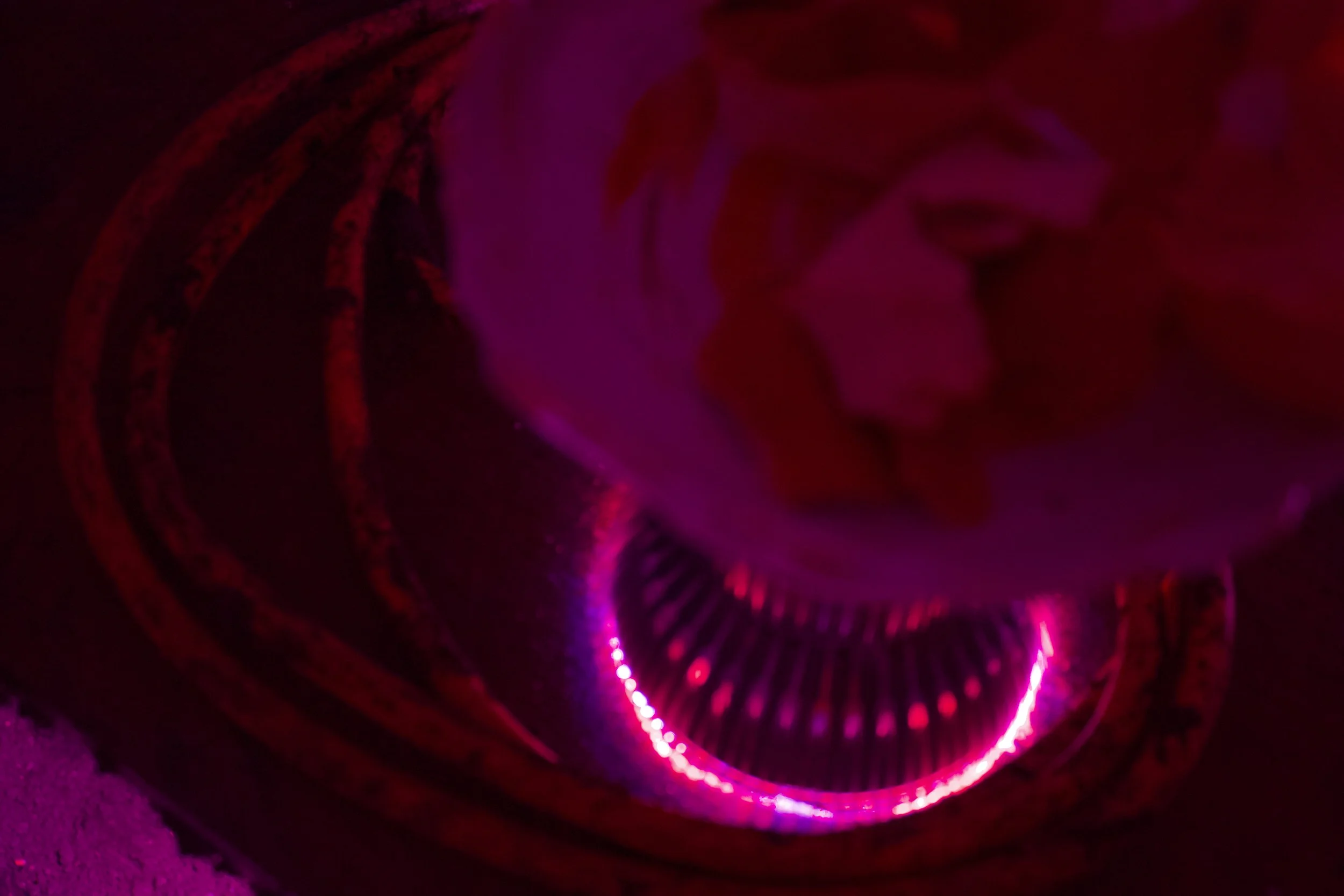Light closeup shelt 2023.jpg