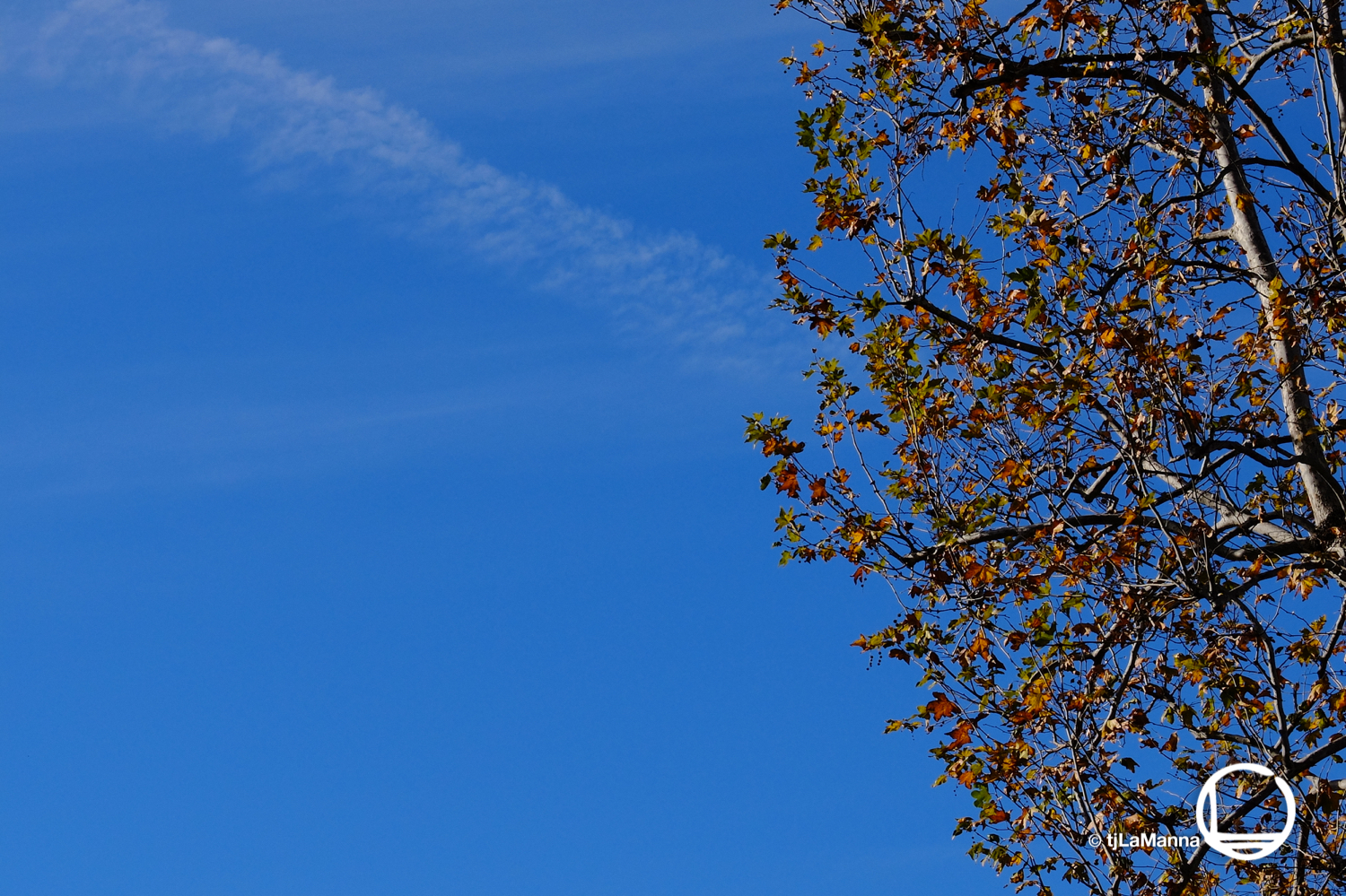 DSCF0341_©TjLaManna.jpg