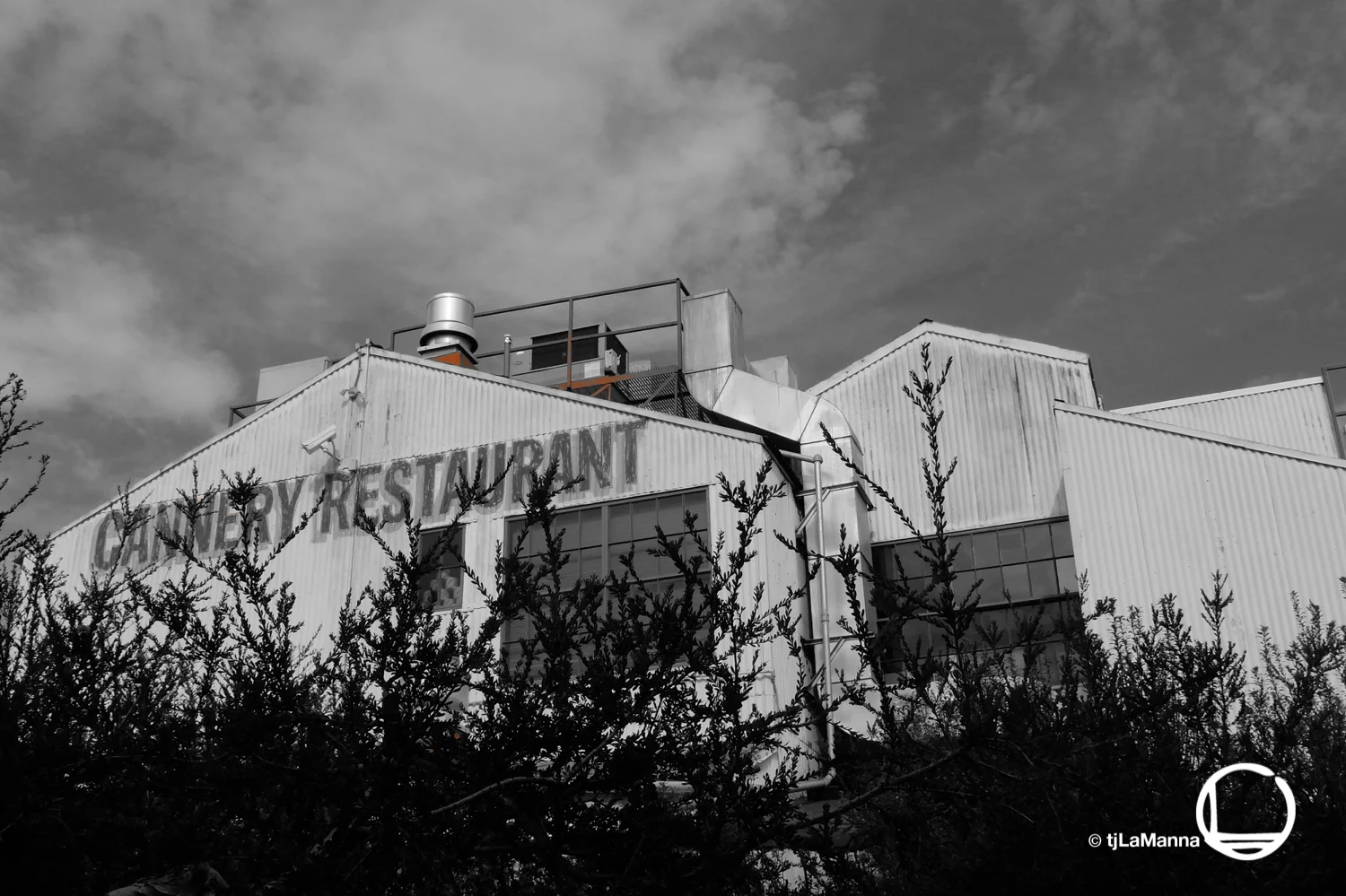 DSCF0392_©TjLaManna.jpg