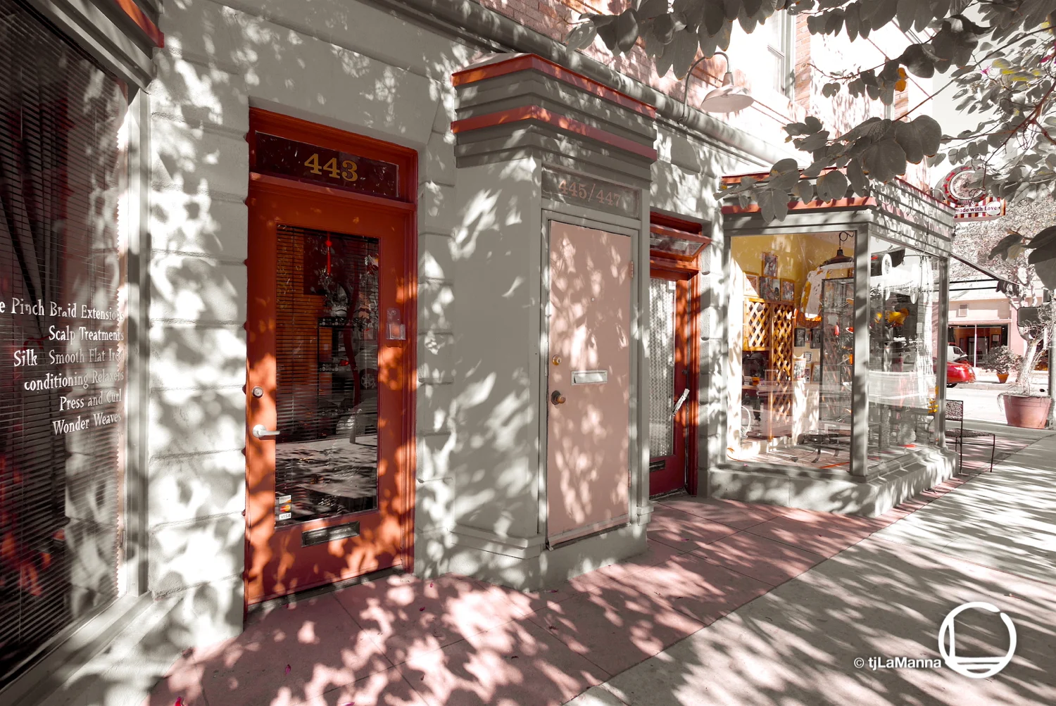 P9020914_©TjLaManna.jpg
