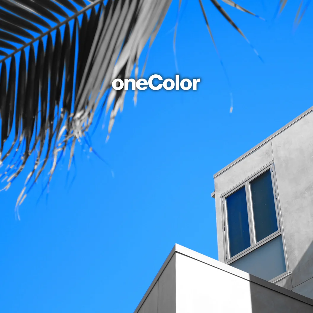 : : gallery