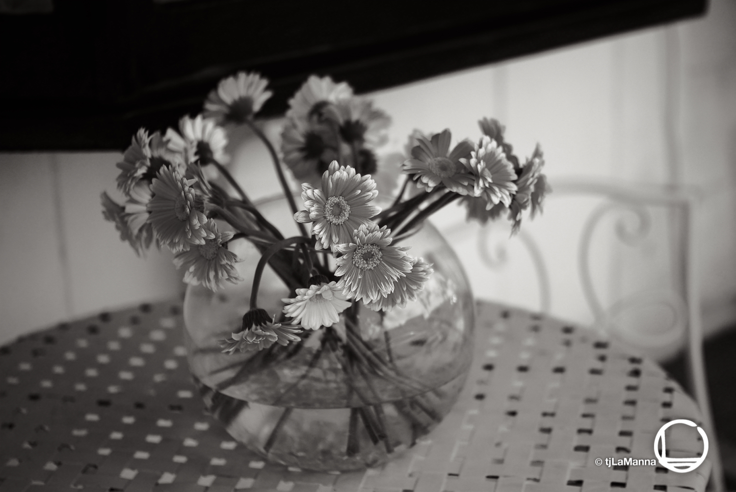< back2index : : : : :