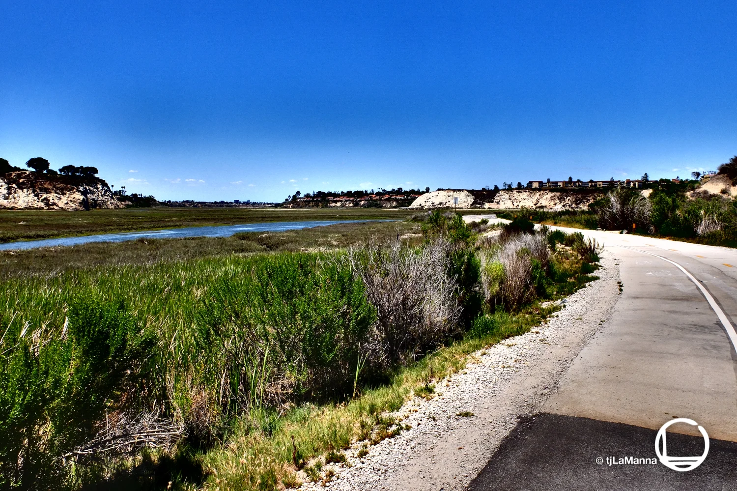 DSCF2729_©TjLaManna.jpg