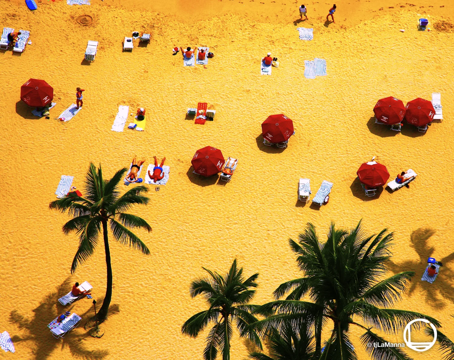 YellowBeach_©TjLaManna.jpg