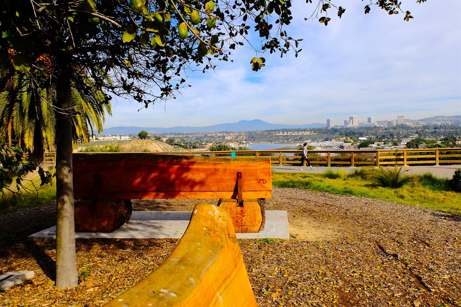 Newport Bluffs