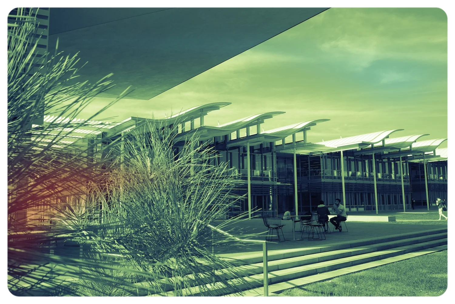The Library