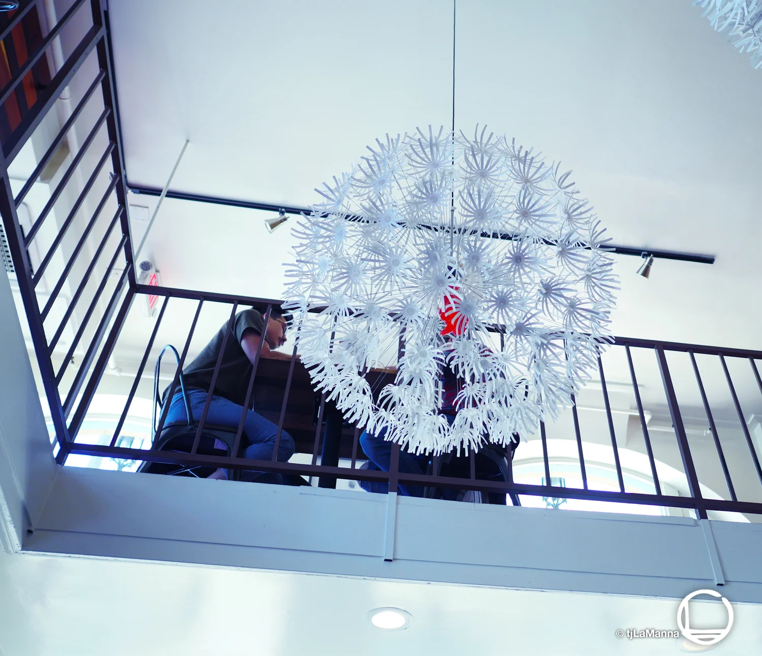 P1040629 3_©TjLaManna.jpg