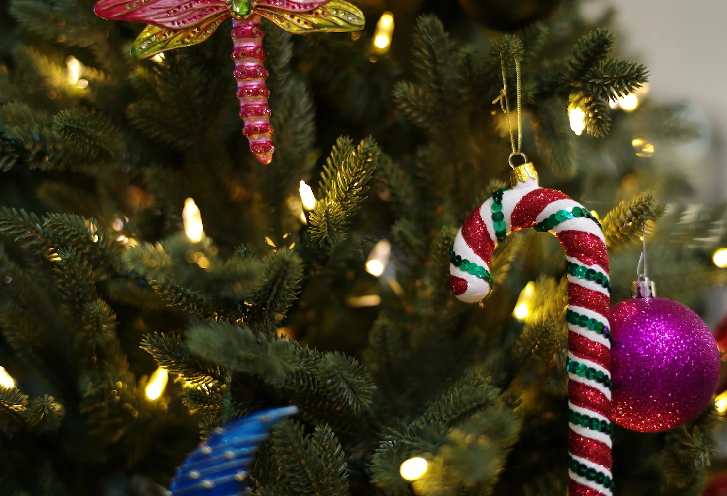 Tree-time!