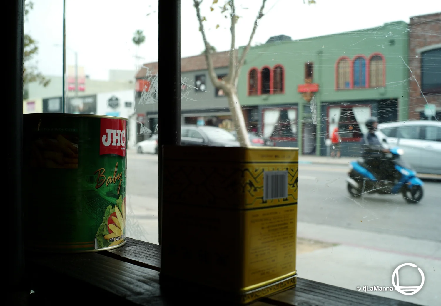 L1003950 2_©TjLaManna.jpg