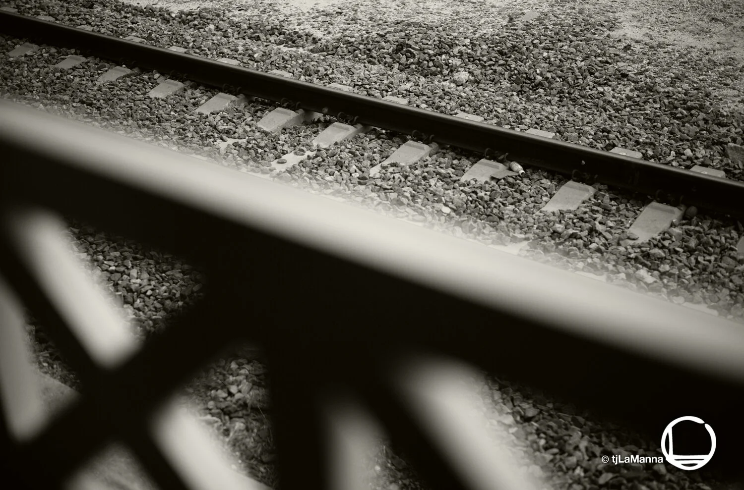 L1006050 2_©TjLaManna.jpg