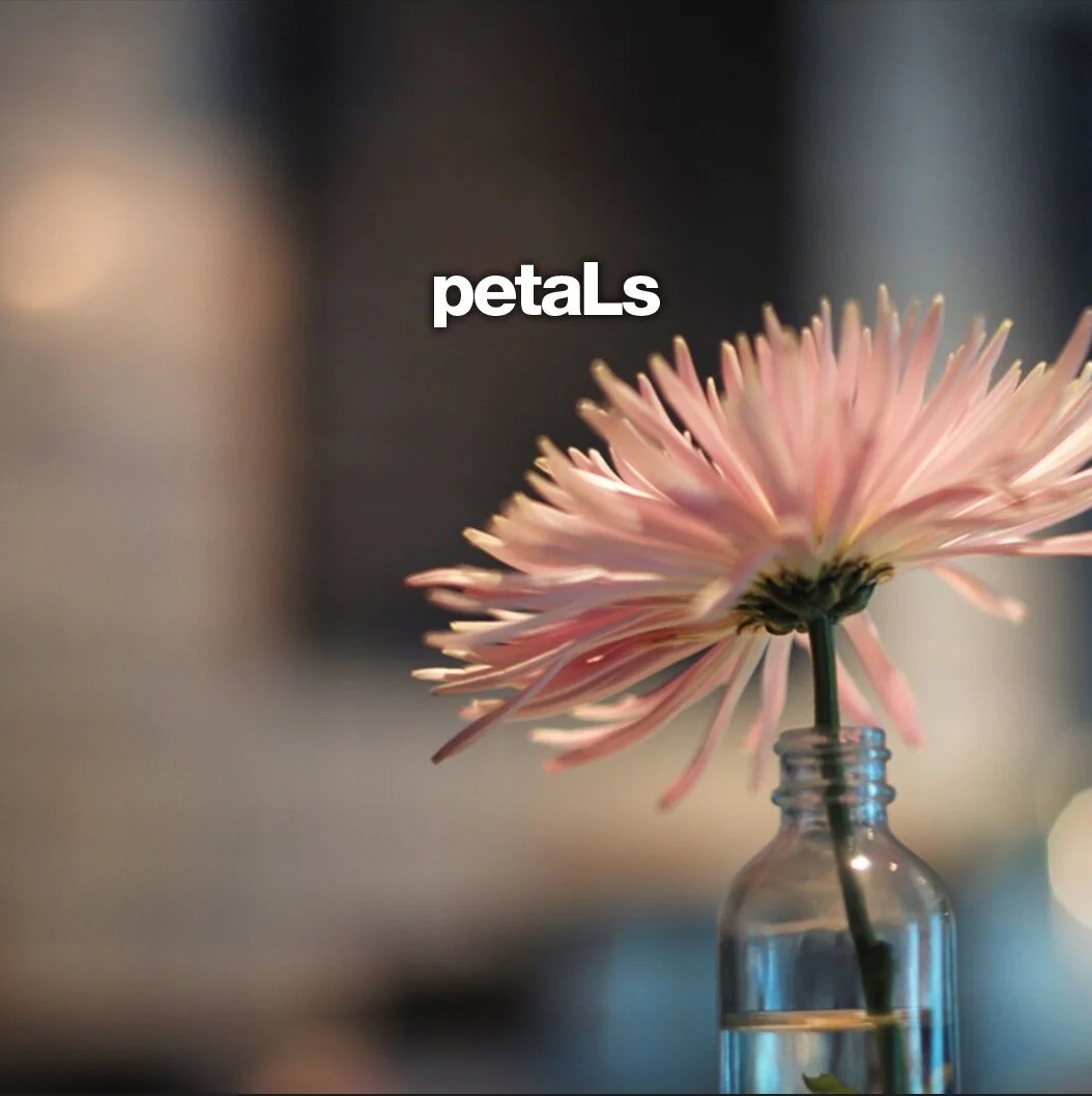 CoverArt_petaLs_©TjLaManna.jpg