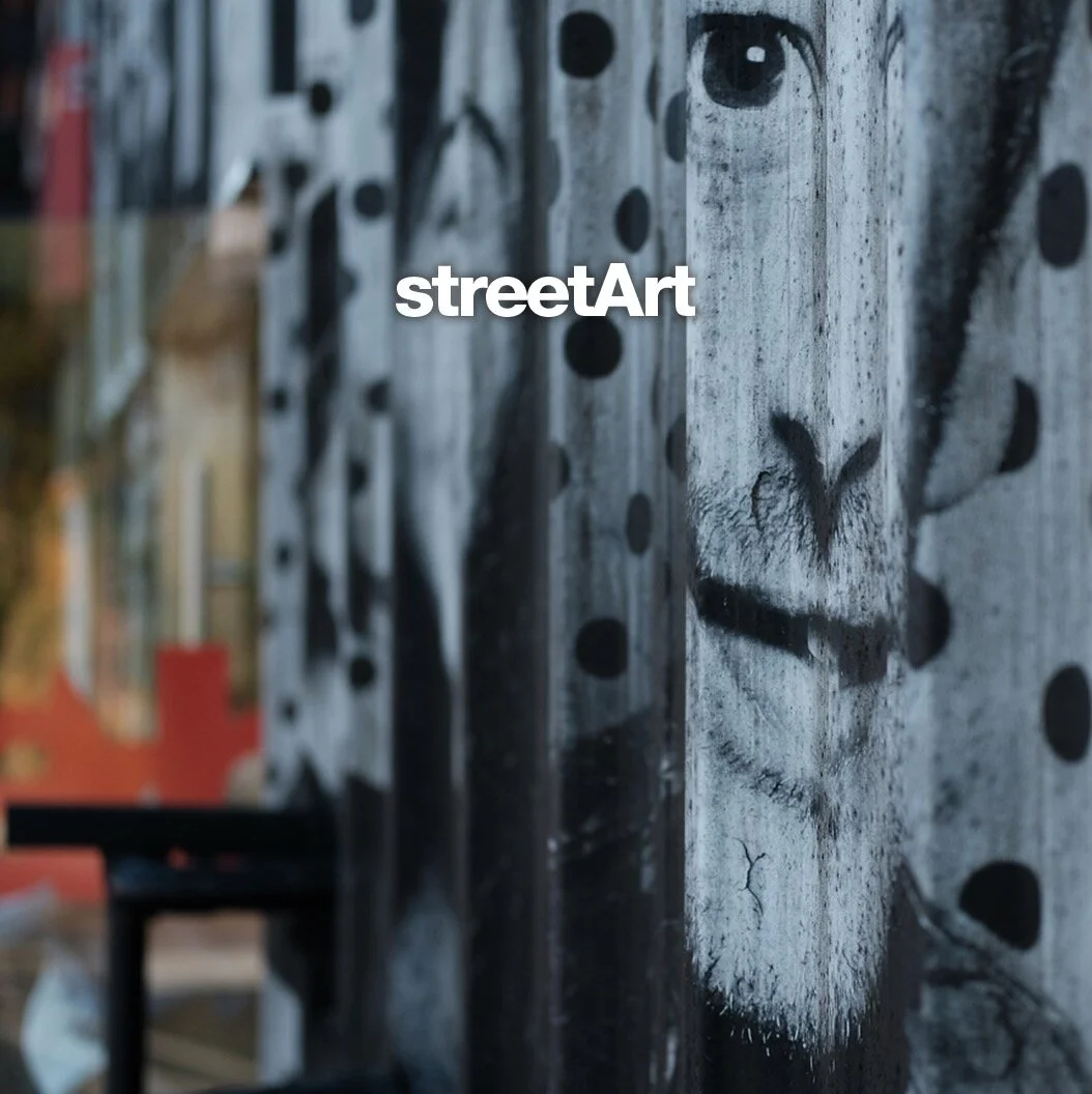 CoverArt_streetArt_©TjLaManna.jpg