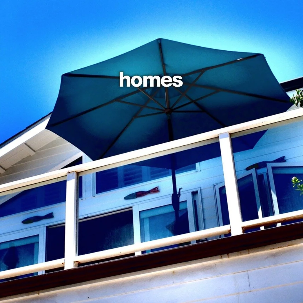CoverArt_homes_©TjLaManna.jpg