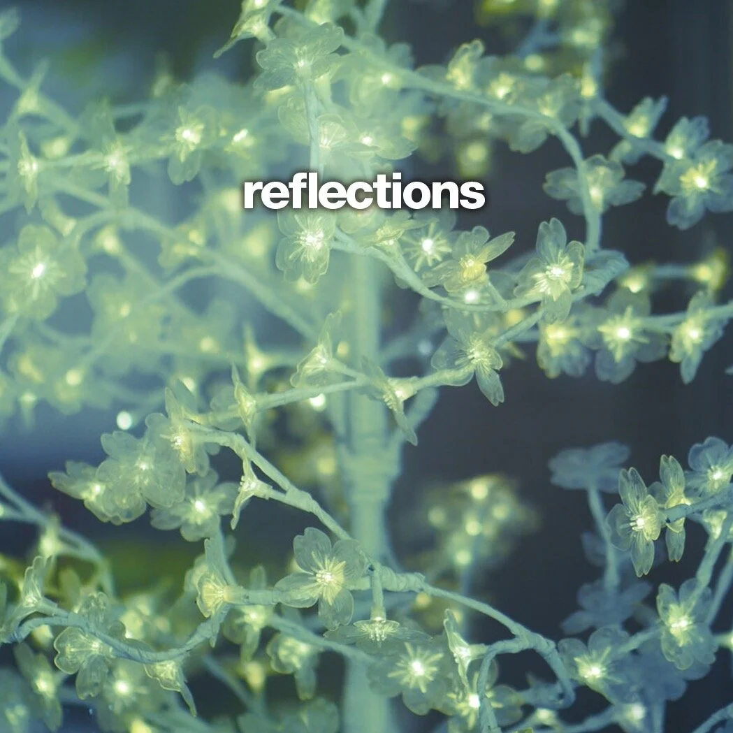 CoverArt_reflections2_©TjLaManna.jpg