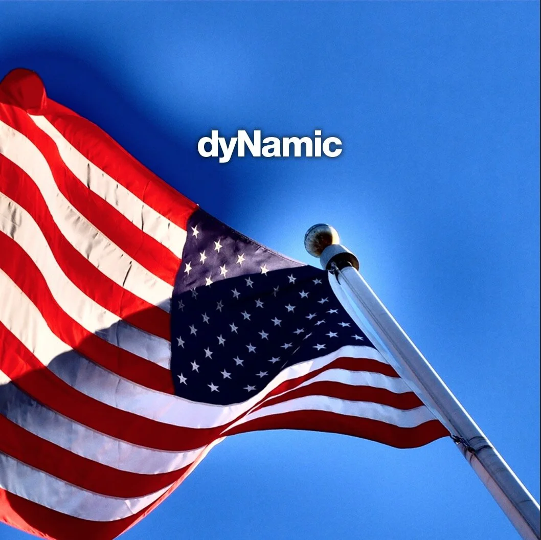 CoverArt_dyNamic_©TjLaManna.jpg