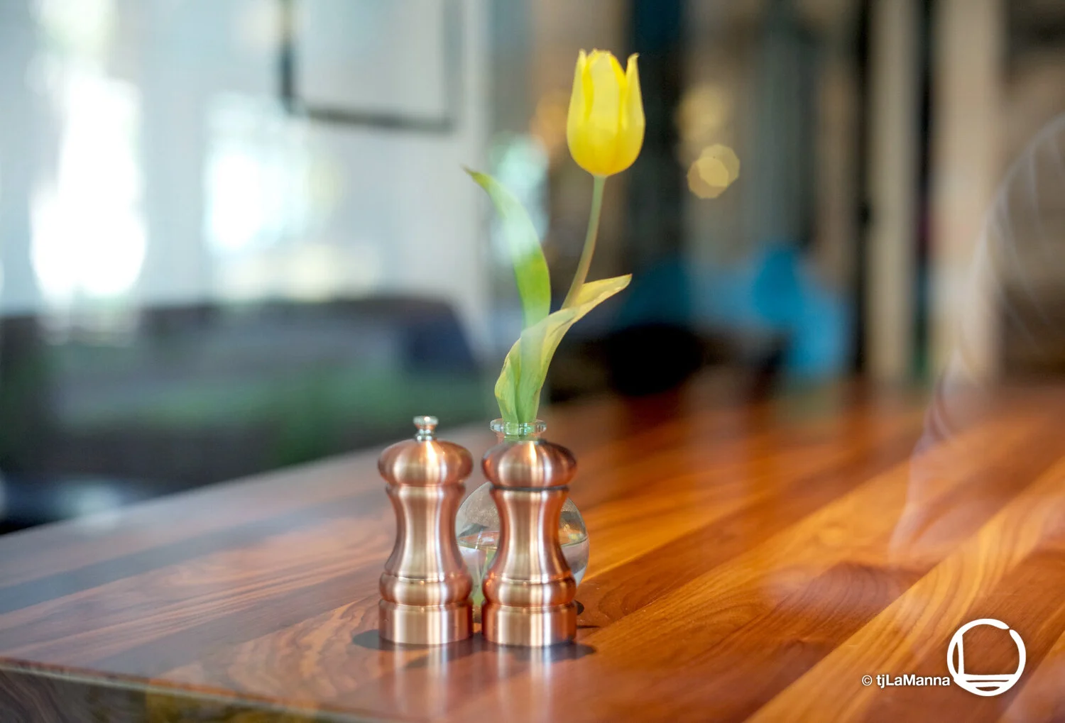 L1007279 2_©TjLaManna.jpg