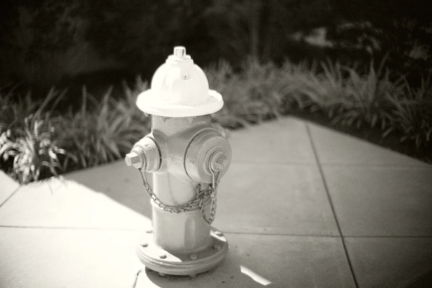 50 f/1.1