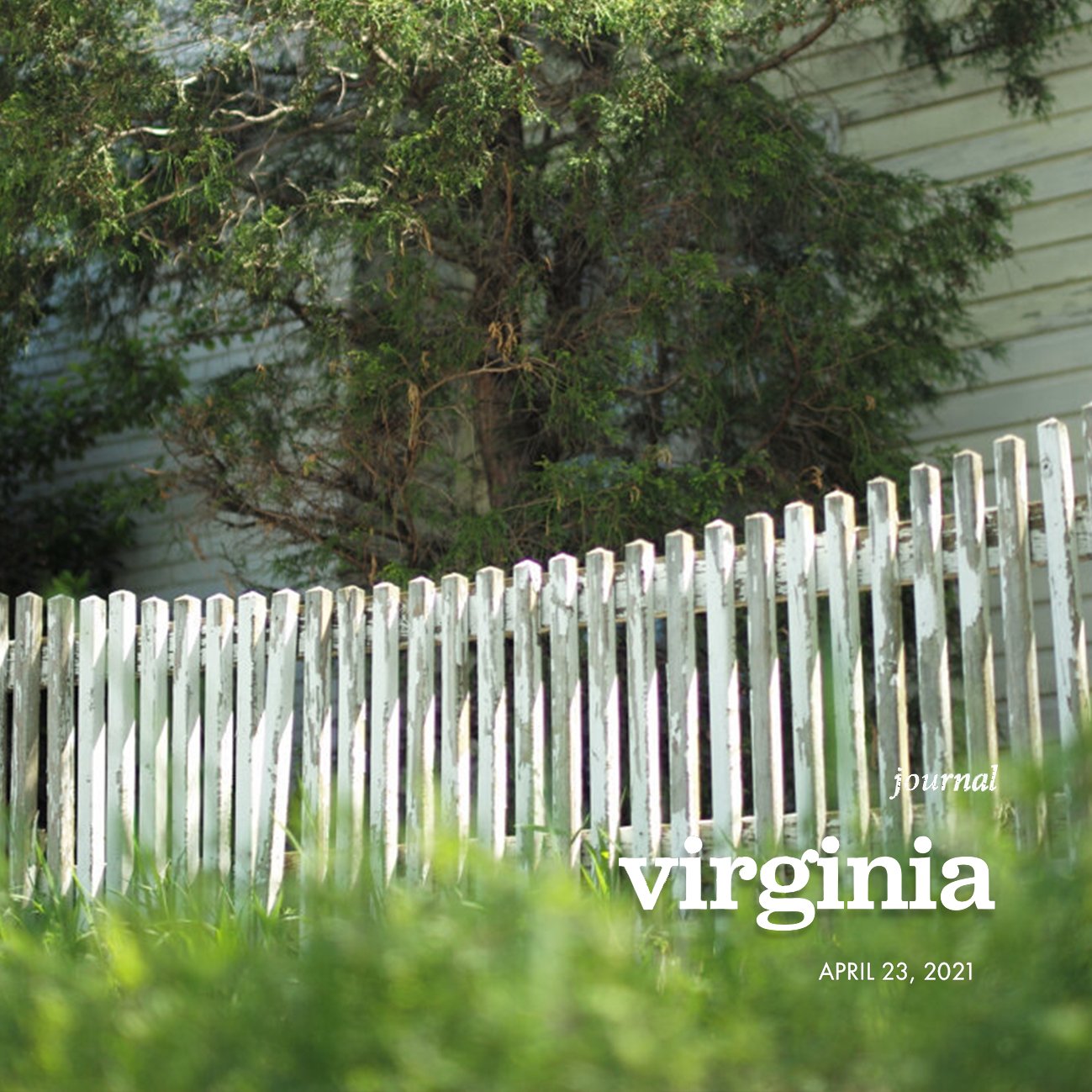 CoverArt_BlogStyle_virginia2_©TjLaManna.jpg