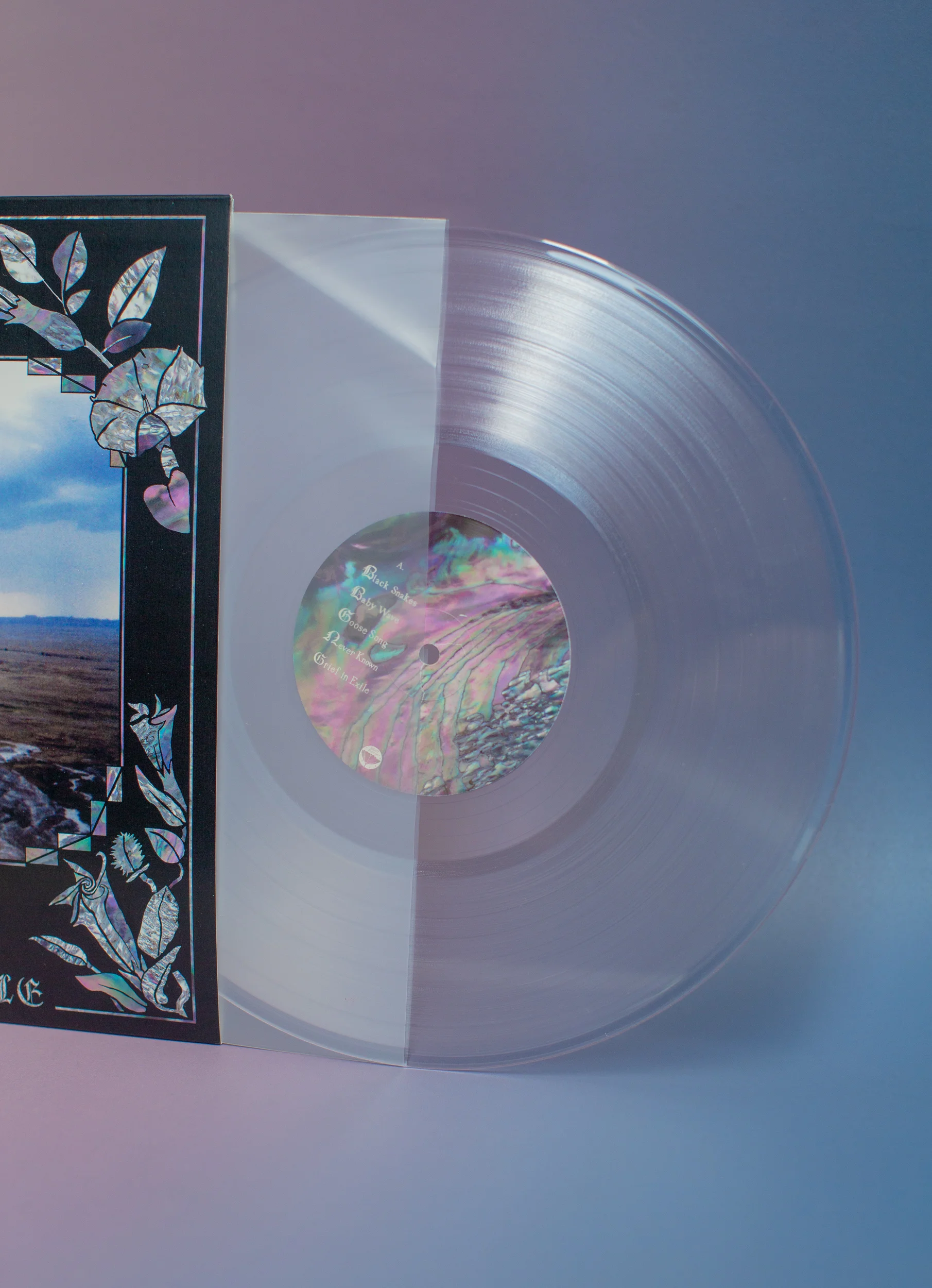 M_S_Record_002.jpg