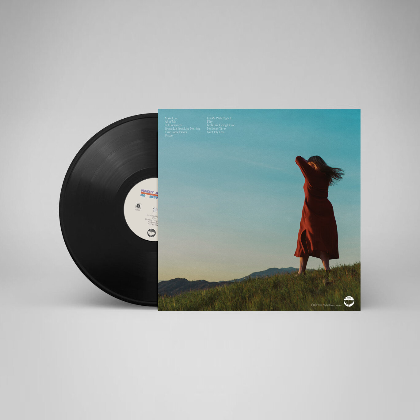 vinyl mockup back (1).jpg