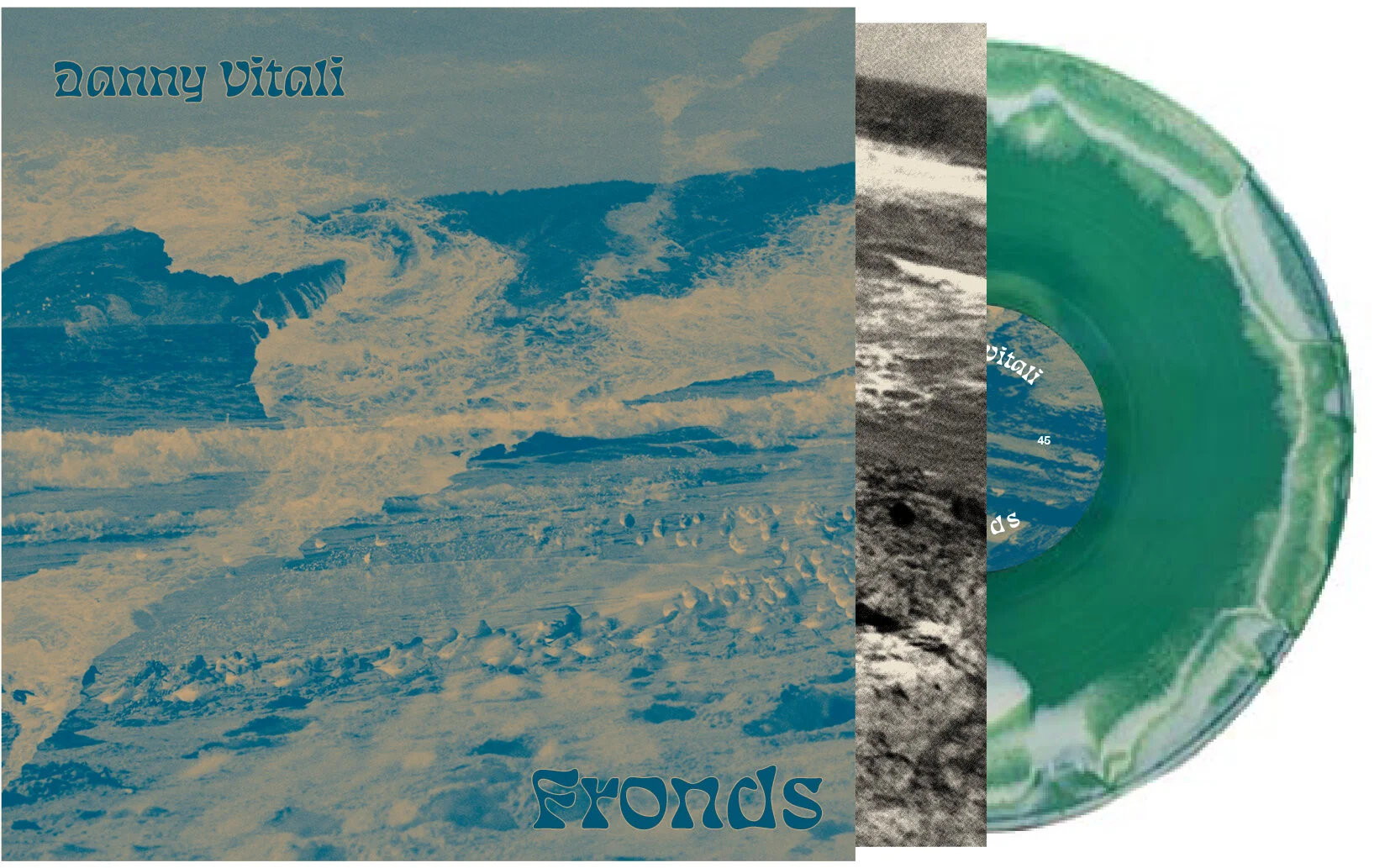 fronds front.jpg