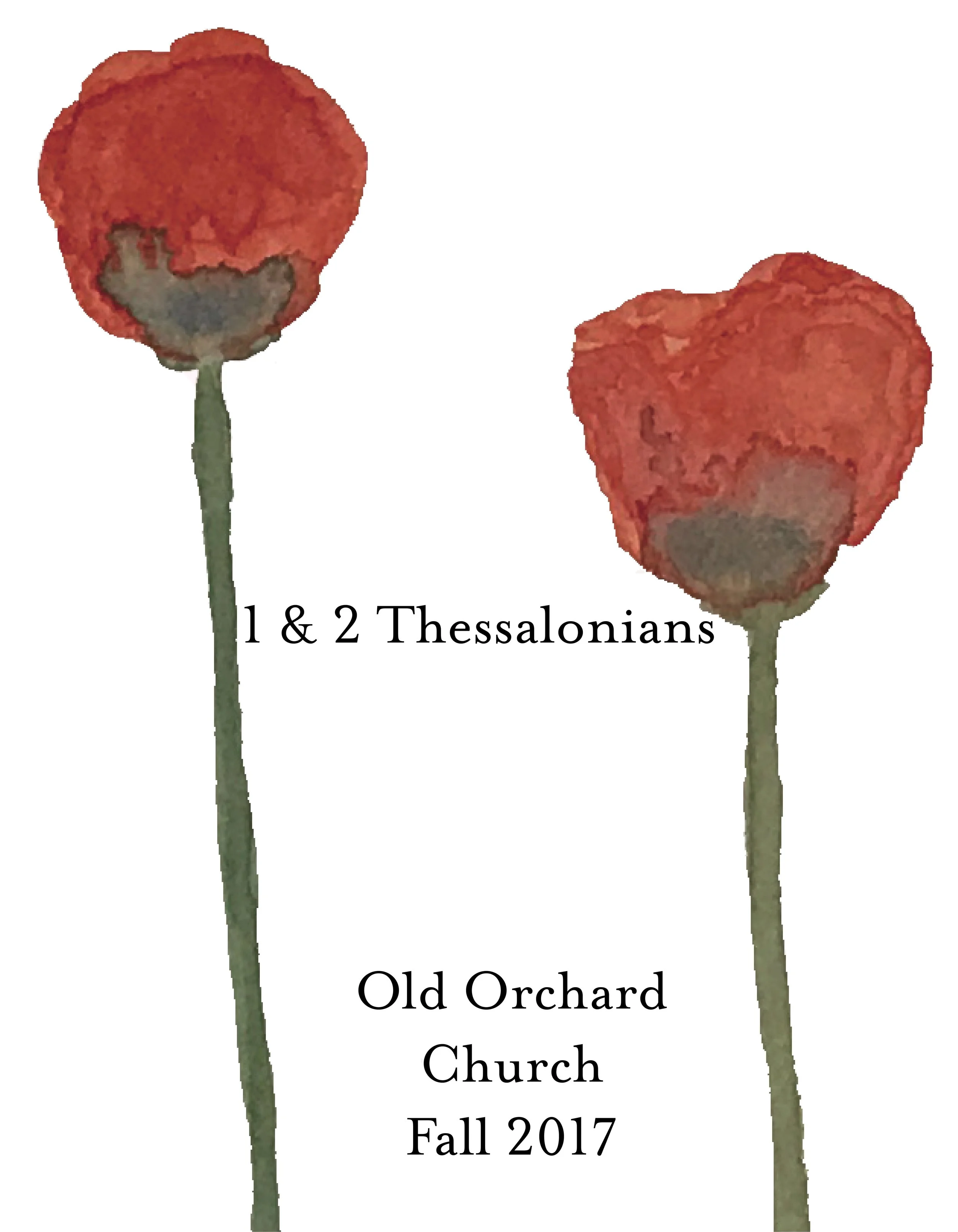 Bible Study Cover - Version Two