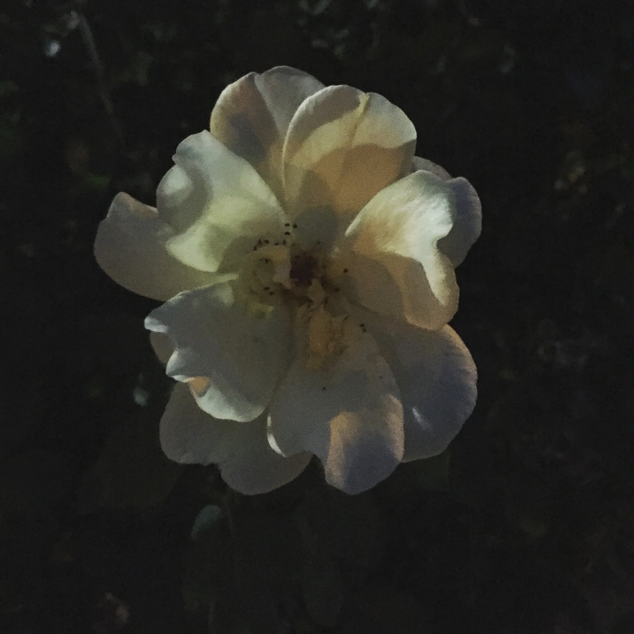 When Everything Feels Broken