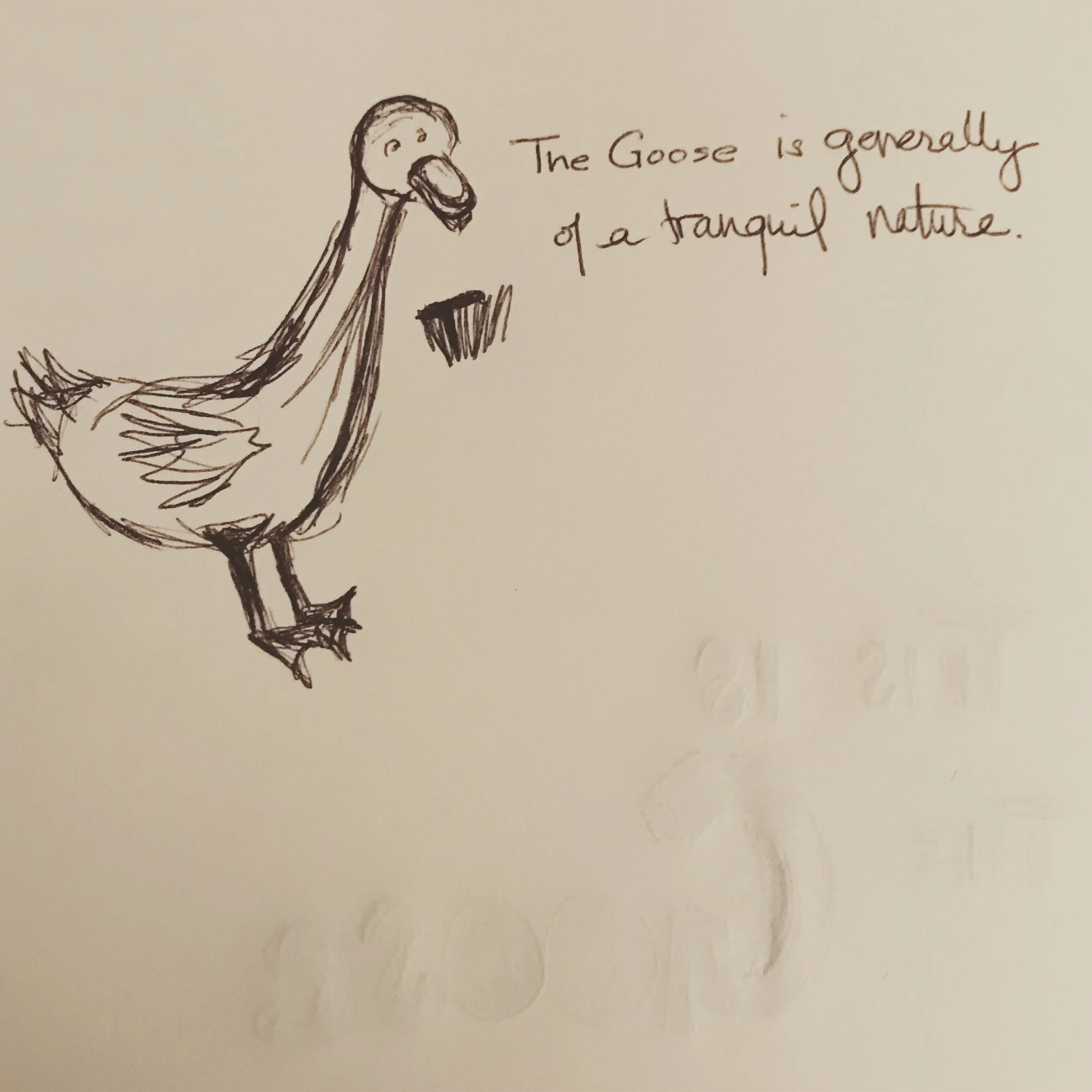 The Return of the Goose: {tranquil}