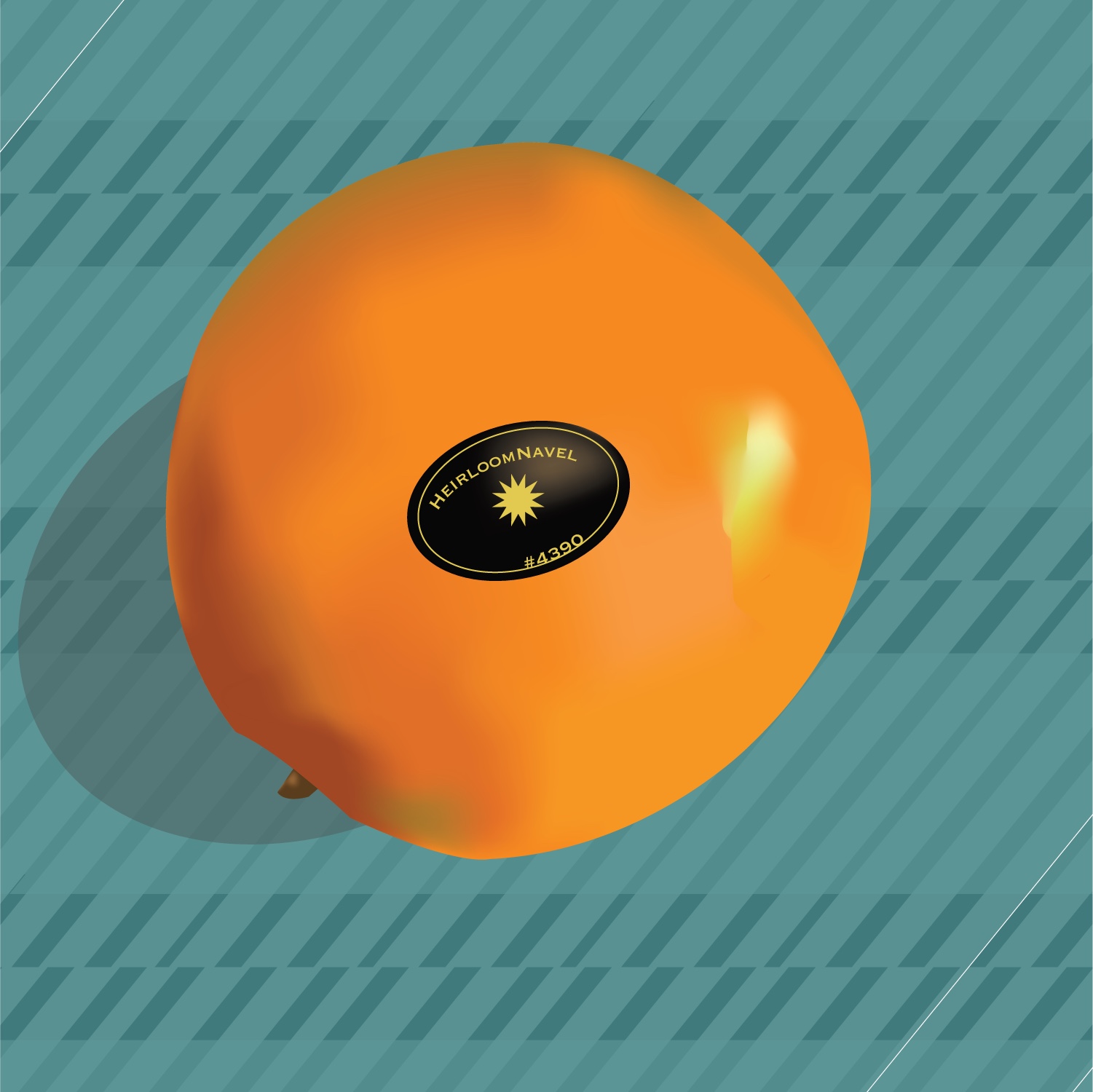 Heirloom Navel