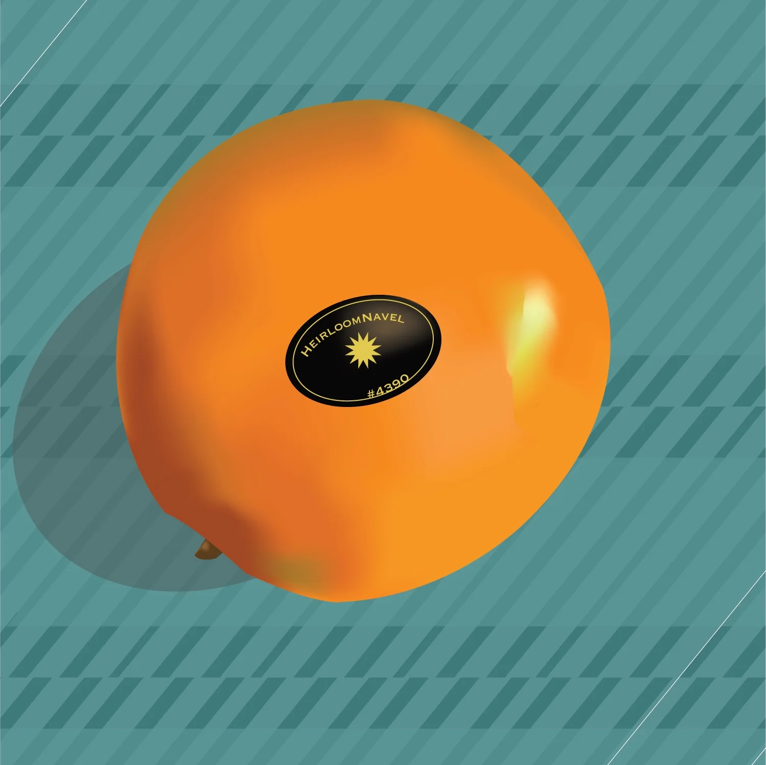 Heirloom Navel