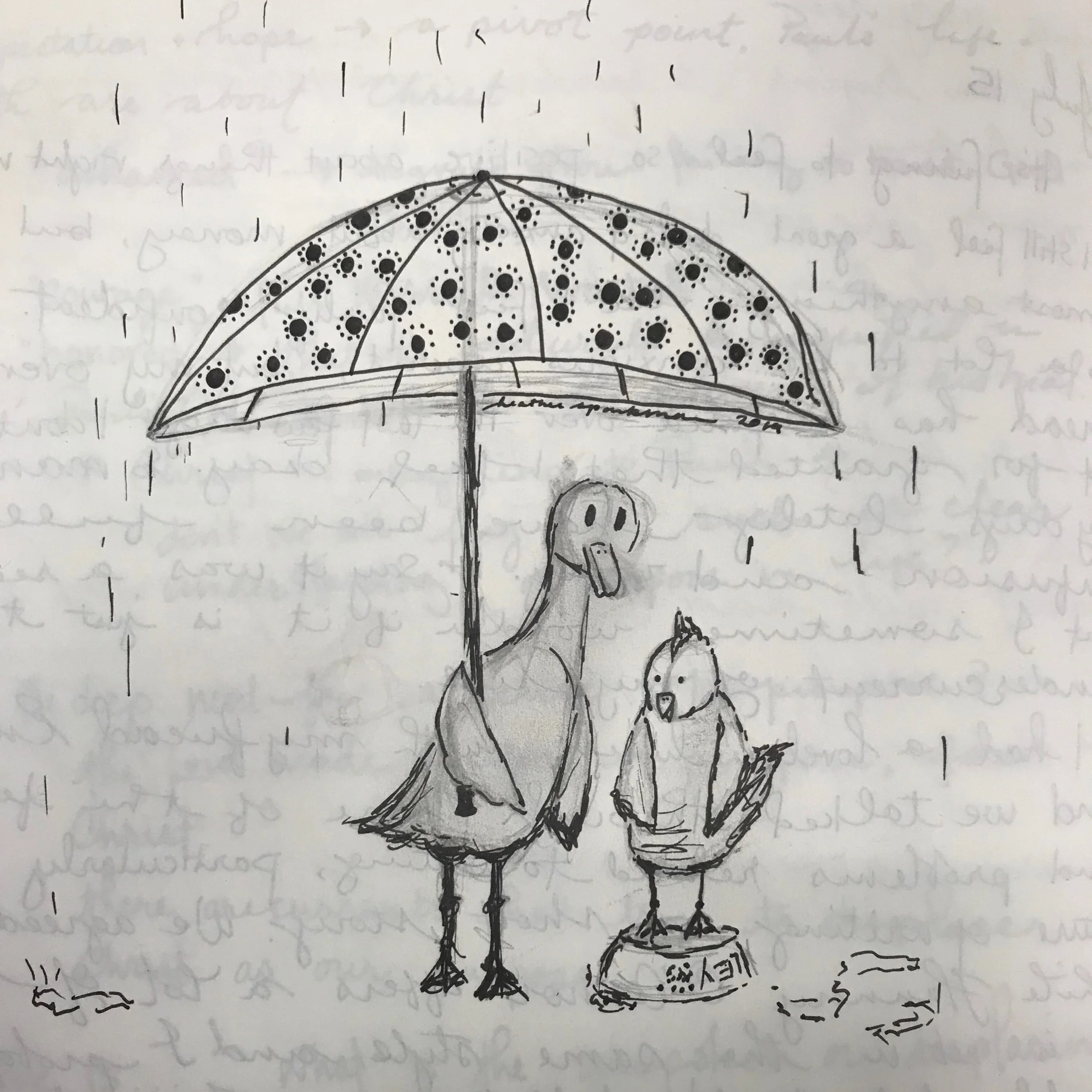 Rain, Rain...