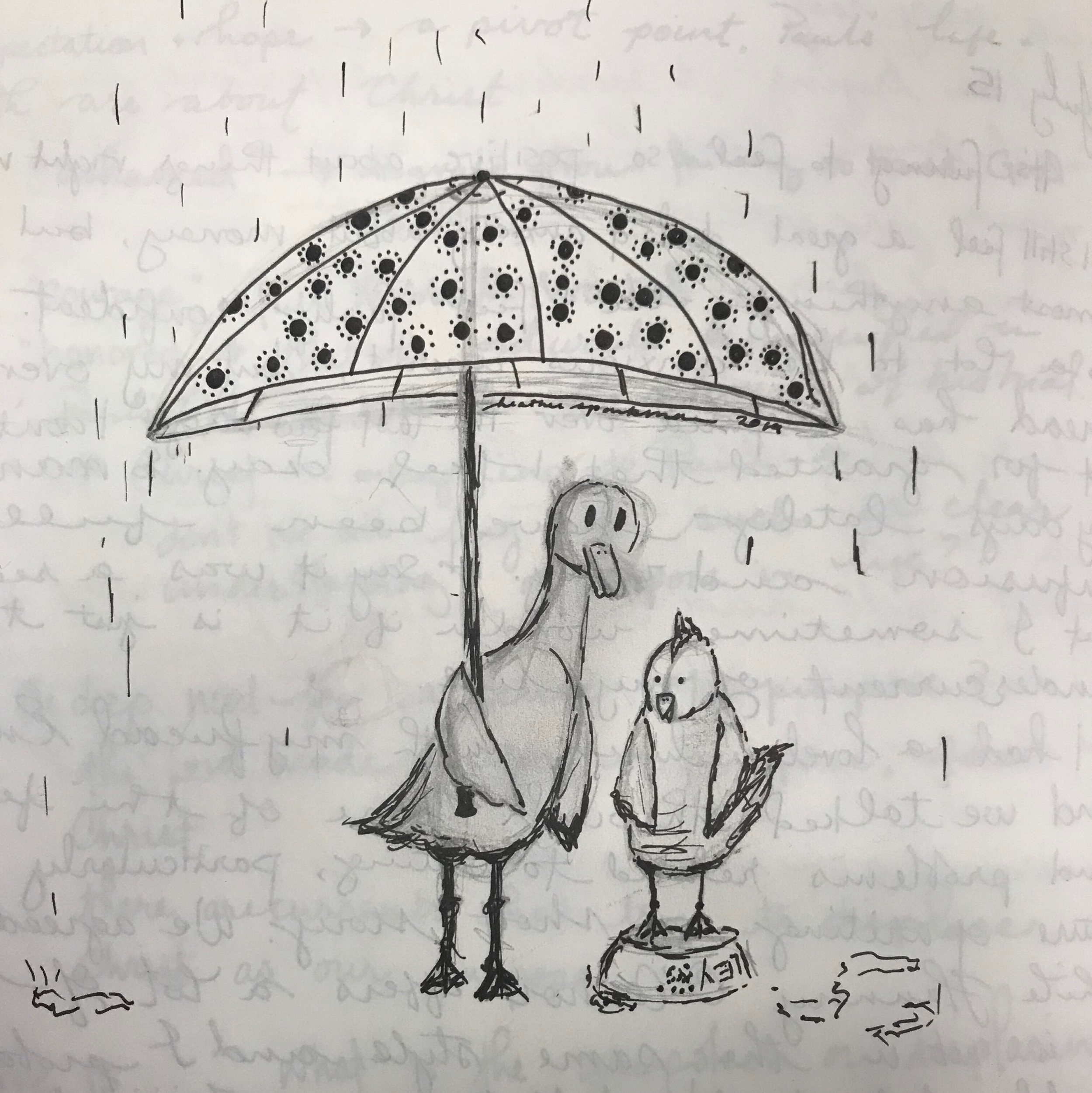 Rain, Rain...