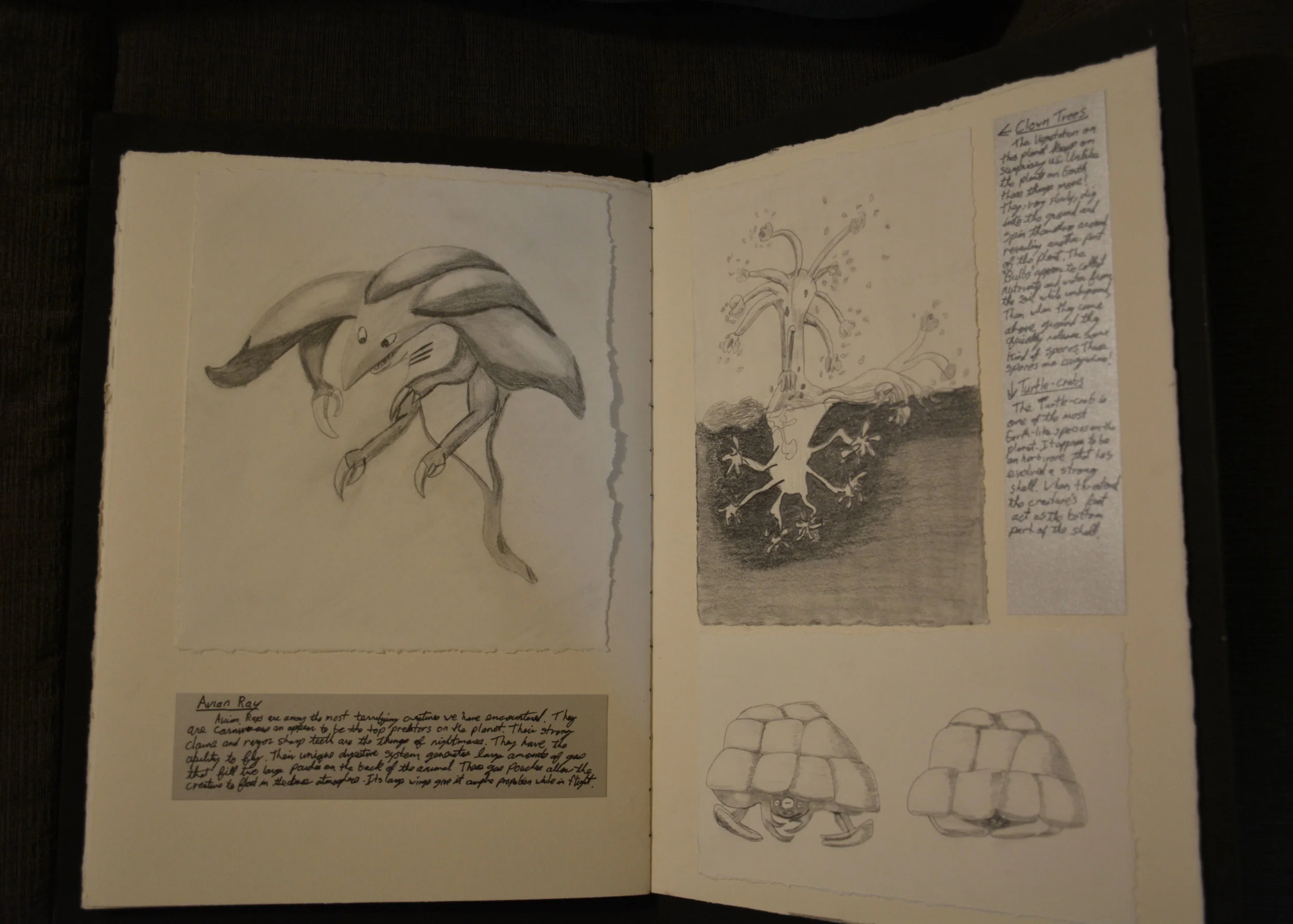 Argo Project page 11 and 12.jpg