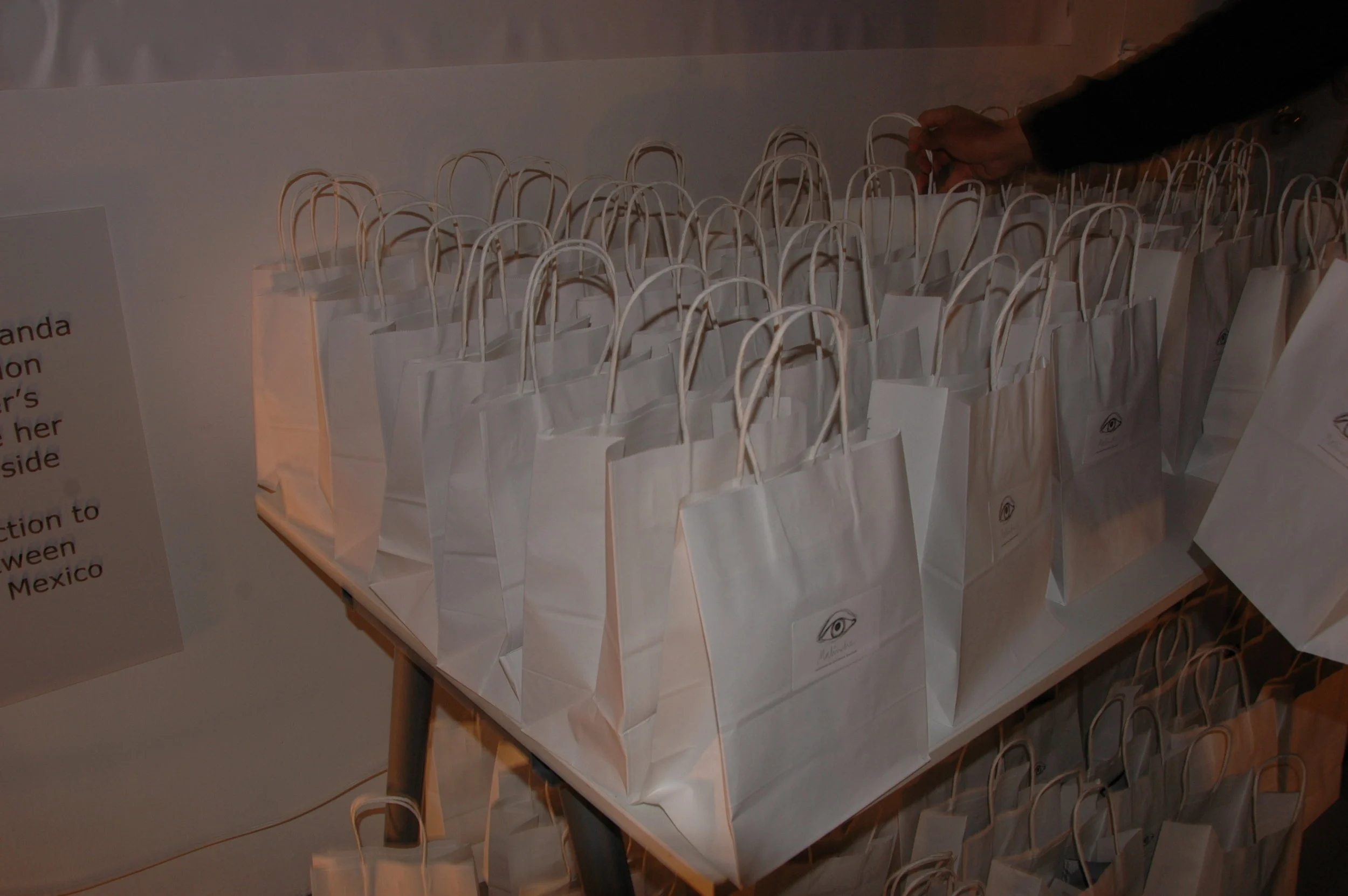 Goddy bags 3D Glasess and Triptics .jpg
